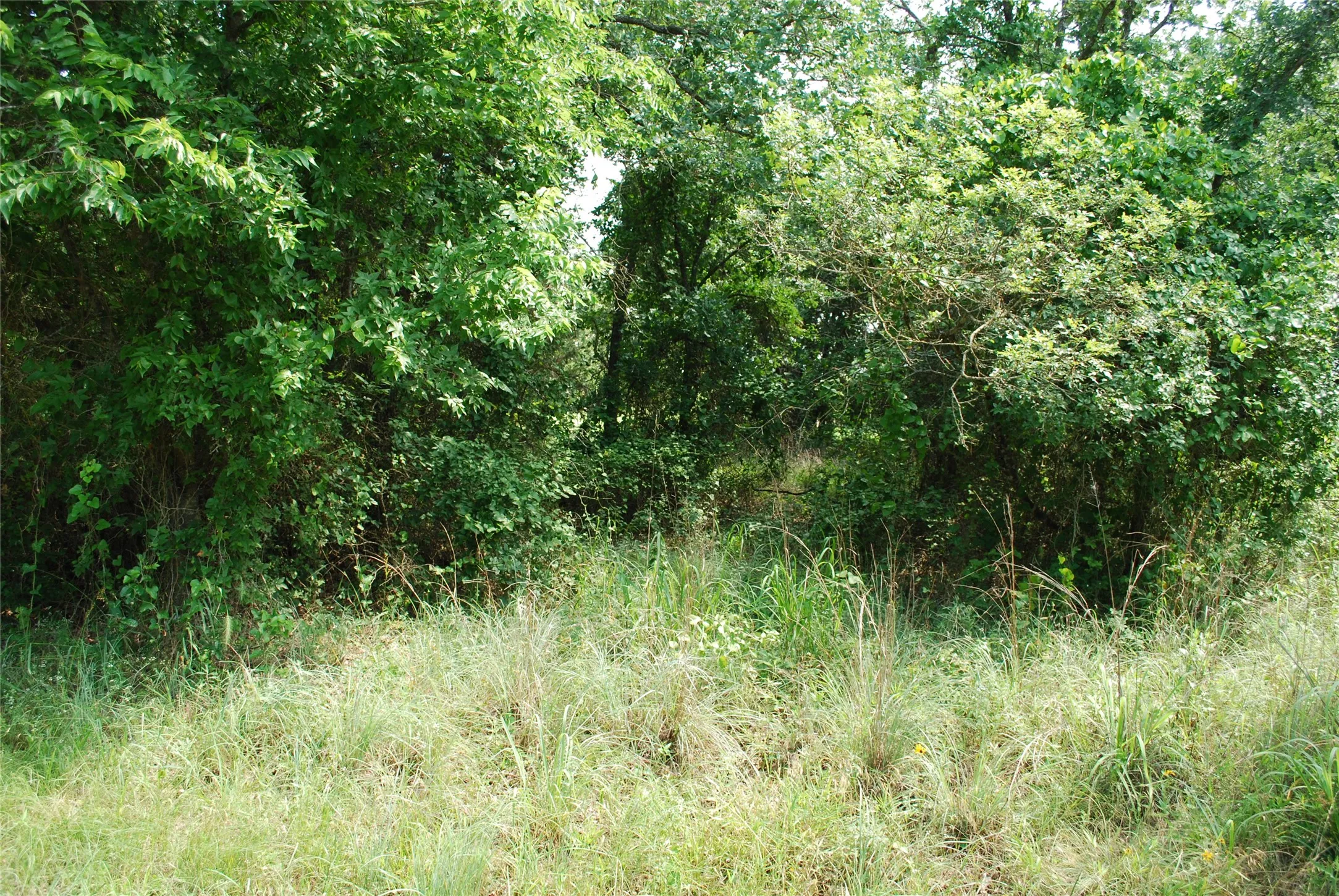 Unimproved Land For Sale in Hill County , 27183 Whispering Meadow Drive, Whitney, Texas 76692, 0, 0, Garage spaces, 0 Sqft, built in 0, Price $13,200, mls#20987121, Real Estate Agent in Whitney, Homes For Sale in Hill county, Homes For Sale in Whitney, Realtor in Whitney Texas, Real Estate Brokerage Independent Realty Texas, Luminita Cordes Realtor