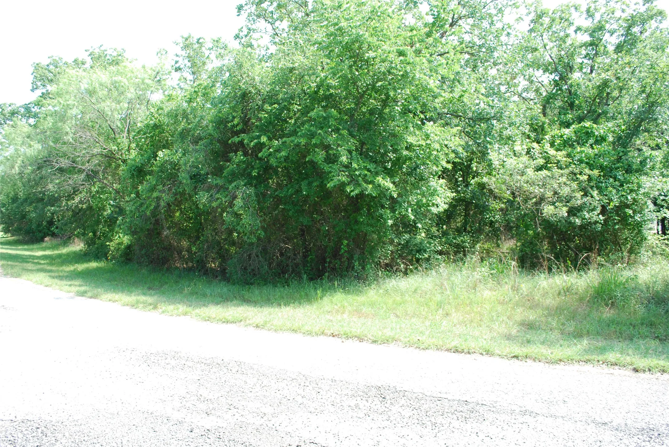 Unimproved Land For Sale in Hill County , 27183 Whispering Meadow Drive, Whitney, Texas 76692, 0, 0, Garage spaces, 0 Sqft, built in 0, Price $13,200, mls#20987121, Real Estate Agent in Whitney, Homes For Sale in Hill county, Homes For Sale in Whitney, Realtor in Whitney Texas, Real Estate Brokerage Independent Realty Texas, Luminita Cordes Realtor