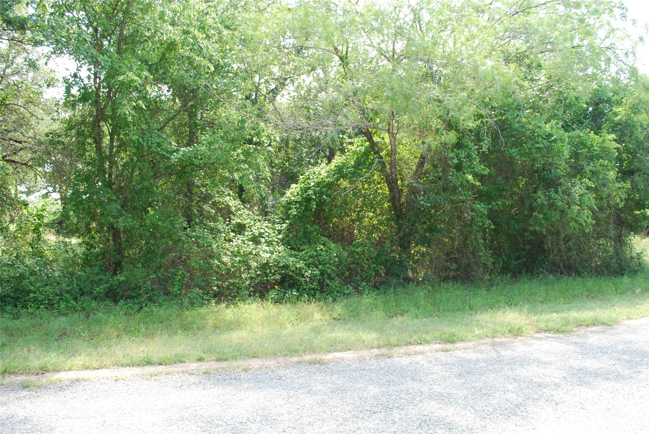 Unimproved Land For Sale in Hill County , 27183 Whispering Meadow Drive, Whitney, Texas 76692, 0, 0, Garage spaces, 0 Sqft, built in 0, Price $13,200, mls#20987121, Real Estate Agent in Whitney, Homes For Sale in Hill county, Homes For Sale in Whitney, Realtor in Whitney Texas, Real Estate Brokerage Independent Realty Texas, Luminita Cordes Realtor