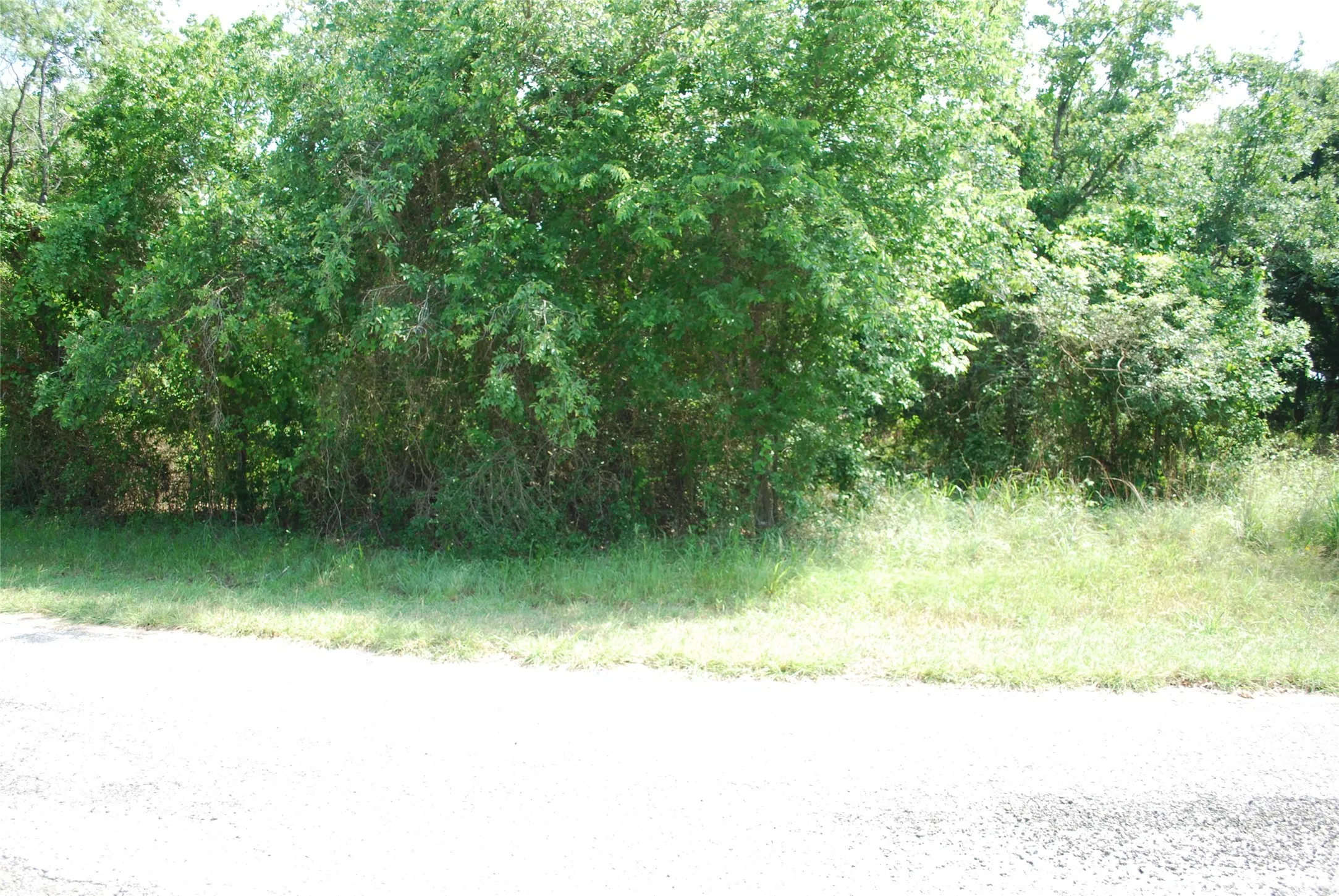 Unimproved Land For Sale in Hill County , 27183 Whispering Meadow Drive, Whitney, Texas 76692, 0, 0, Garage spaces, 0 Sqft, built in 0, Price $13,200, mls#20987121, Real Estate Agent in Whitney, Homes For Sale in Hill county, Homes For Sale in Whitney, Realtor in Whitney Texas, Real Estate Brokerage Independent Realty Texas, Luminita Cordes Realtor