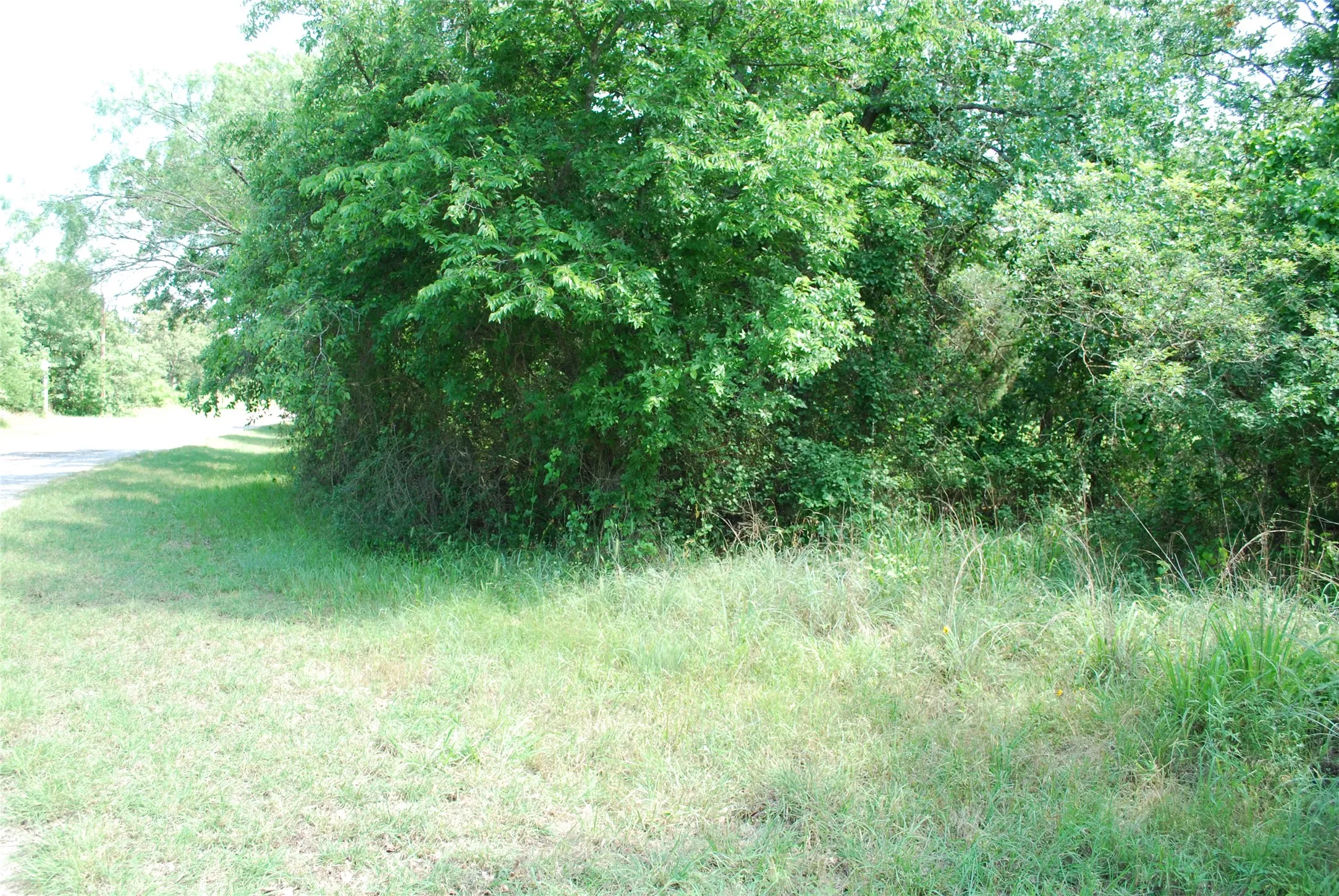 Unimproved Land For Sale in Hill County , 27183 Whispering Meadow Drive, Whitney, Texas 76692, 0, 0, Garage spaces, 0 Sqft, built in 0, Price $13,200, mls#20987121, Real Estate Agent in Whitney, Homes For Sale in Hill county, Homes For Sale in Whitney, Realtor in Whitney Texas, Real Estate Brokerage Independent Realty Texas, Luminita Cordes Realtor