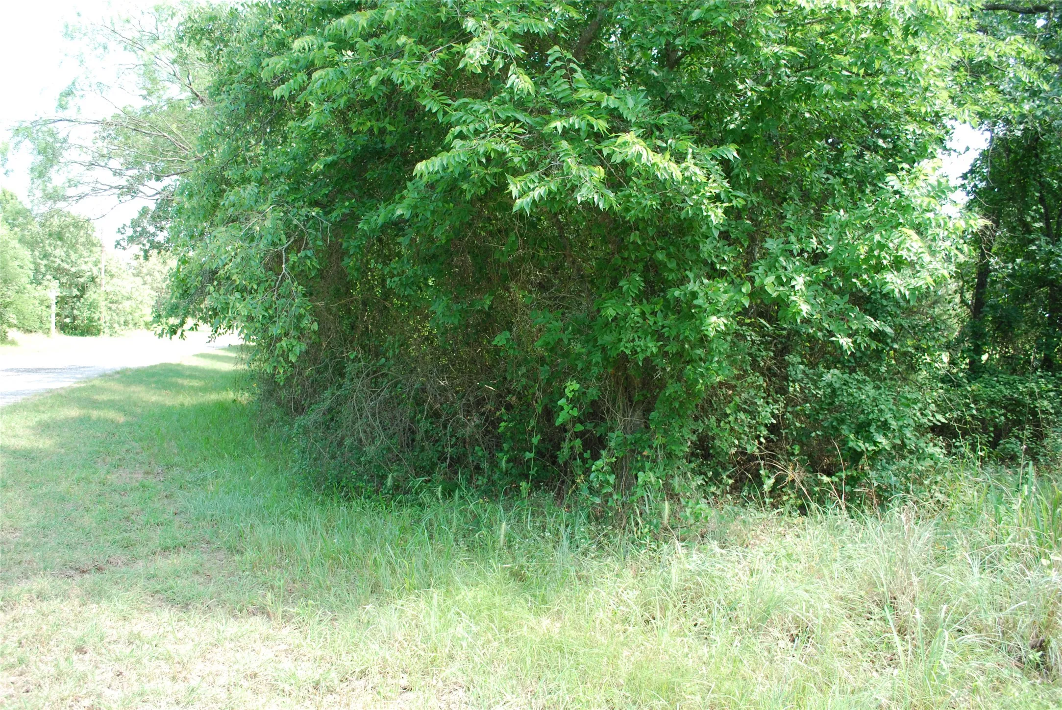Unimproved Land For Sale in Hill County , 27183 Whispering Meadow Drive, Whitney, Texas 76692, 0, 0, Garage spaces, 0 Sqft, built in 0, Price $13,200, mls#20987121, Real Estate Agent in Whitney, Homes For Sale in Hill county, Homes For Sale in Whitney, Realtor in Whitney Texas, Real Estate Brokerage Independent Realty Texas, Luminita Cordes Realtor