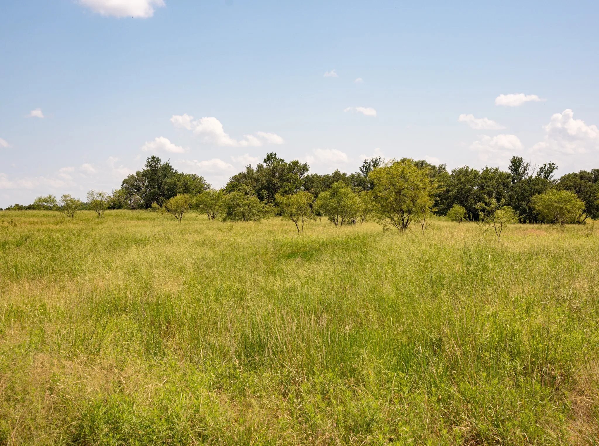 Unimproved Land For Sale in Palo Pinto County , 2217 River Shoals Road, Mineral Wells, Texas 76067, 0, 0, Garage spaces, 0 Sqft, built in 0, mls#20984505, Real Estate Agent in Mineral Wells, Homes For Sale in Palo Pinto county, Homes For Sale in Mineral Wells, Realtor in Mineral Wells Texas, Real Estate Brokerage Independent Realty Texas, Luminita Cordes Realtor