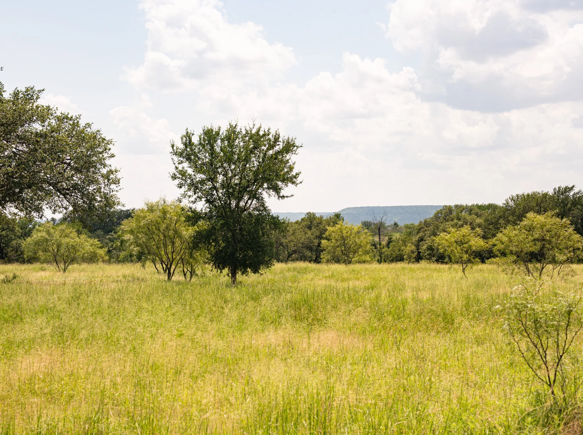Unimproved Land For Sale in Palo Pinto County , 2217 River Shoals Road, Mineral Wells, Texas 76067, 0, 0, Garage spaces, 0 Sqft, built in 0, mls#20984505, Real Estate Agent in Mineral Wells, Homes For Sale in Palo Pinto county, Homes For Sale in Mineral Wells, Realtor in Mineral Wells Texas, Real Estate Brokerage Independent Realty Texas, Luminita Cordes Realtor