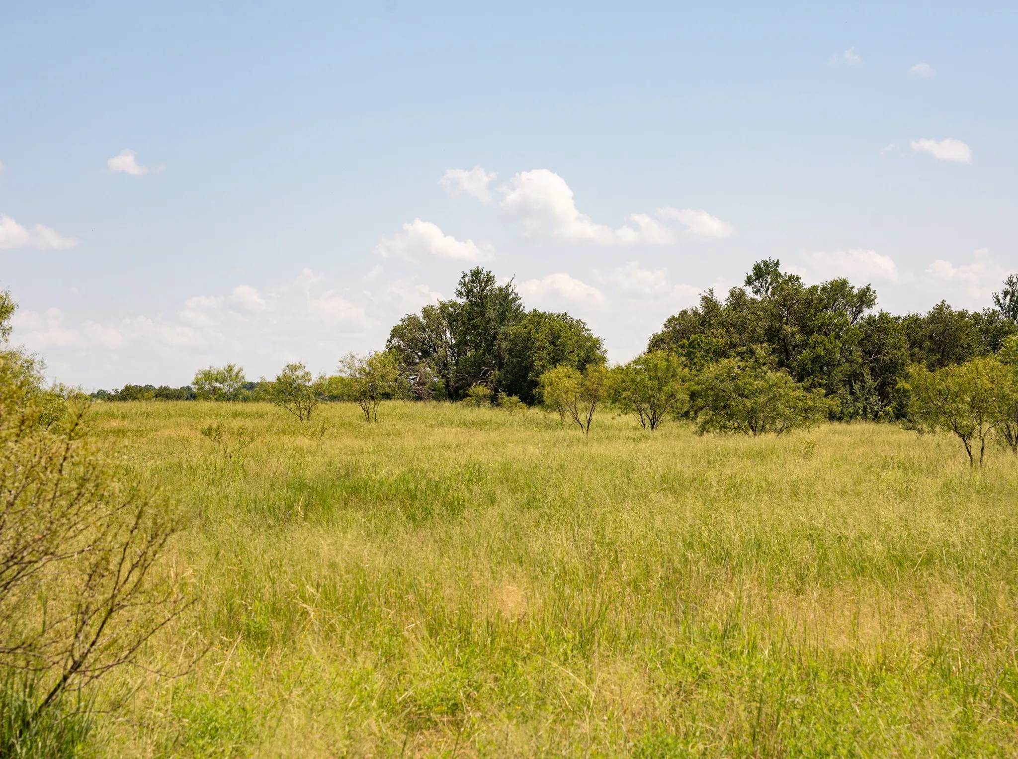Unimproved Land For Sale in Palo Pinto County , 2217 River Shoals Road, Mineral Wells, Texas 76067, 0, 0, Garage spaces, 0 Sqft, built in 0, mls#20984505, Real Estate Agent in Mineral Wells, Homes For Sale in Palo Pinto county, Homes For Sale in Mineral Wells, Realtor in Mineral Wells Texas, Real Estate Brokerage Independent Realty Texas, Luminita Cordes Realtor