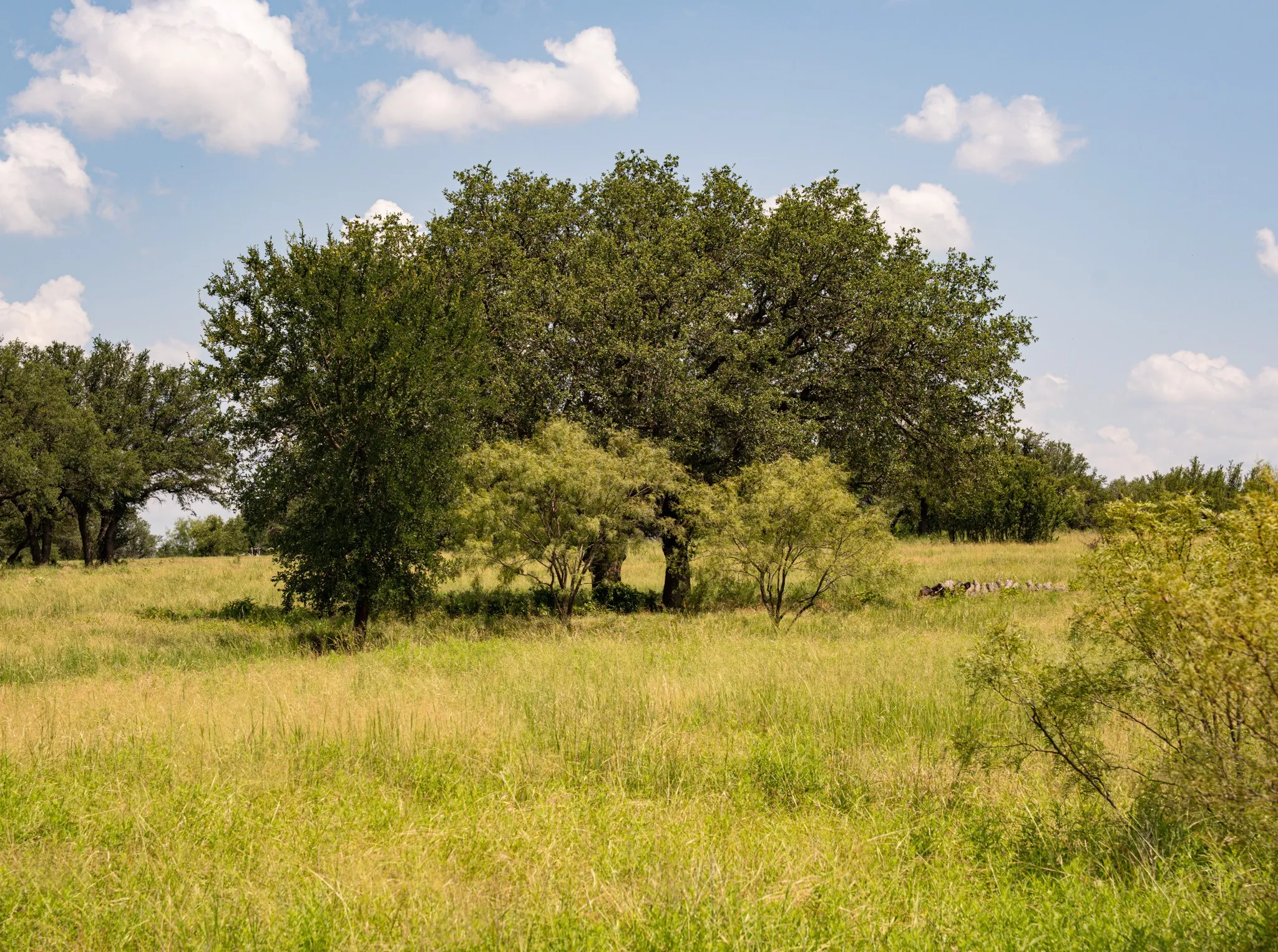 Unimproved Land For Sale in Palo Pinto County , 2217 River Shoals Road, Mineral Wells, Texas 76067, 0, 0, Garage spaces, 0 Sqft, built in 0, mls#20984505, Real Estate Agent in Mineral Wells, Homes For Sale in Palo Pinto county, Homes For Sale in Mineral Wells, Realtor in Mineral Wells Texas, Real Estate Brokerage Independent Realty Texas, Luminita Cordes Realtor