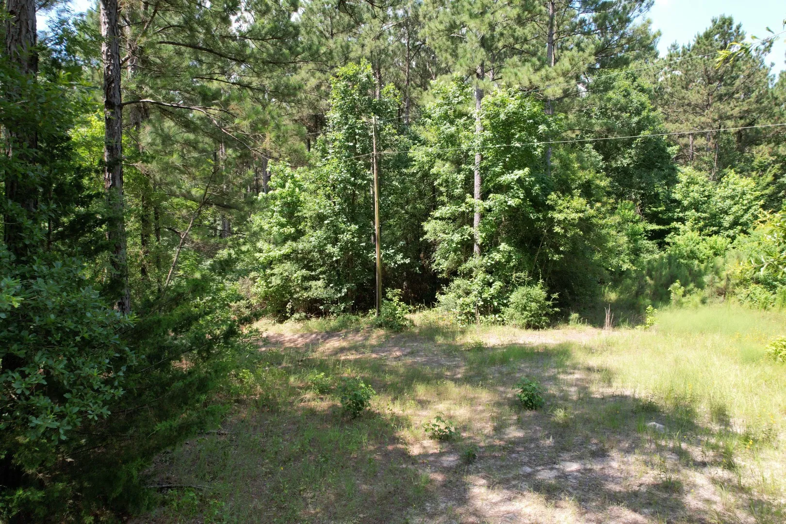 Unimproved Land For Sale in Shelby County , TBD County Road 3706, Tenaha, Texas 75974, 0, 0, Garage spaces, 0 Sqft, built in 0, Price $367,500, mls#20989642, Real Estate Agent in Tenaha, Homes For Sale in Shelby county, Homes For Sale in Tenaha, Realtor in Tenaha Texas, Real Estate Brokerage Independent Realty Texas, Luminita Cordes Realtor