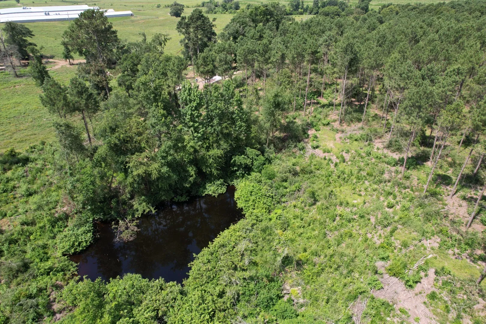 Unimproved Land For Sale in Shelby County , TBD County Road 3706, Tenaha, Texas 75974, 0, 0, Garage spaces, 0 Sqft, built in 0, Price $367,500, mls#20989642, Real Estate Agent in Tenaha, Homes For Sale in Shelby county, Homes For Sale in Tenaha, Realtor in Tenaha Texas, Real Estate Brokerage Independent Realty Texas, Luminita Cordes Realtor