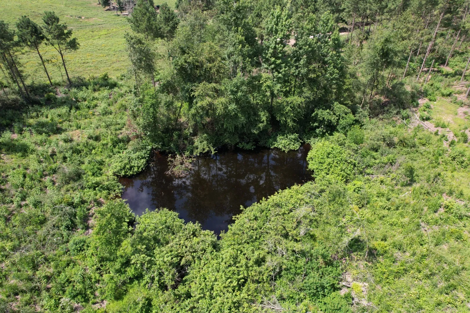 Unimproved Land For Sale in Shelby County , TBD County Road 3706, Tenaha, Texas 75974, 0, 0, Garage spaces, 0 Sqft, built in 0, Price $367,500, mls#20989642, Real Estate Agent in Tenaha, Homes For Sale in Shelby county, Homes For Sale in Tenaha, Realtor in Tenaha Texas, Real Estate Brokerage Independent Realty Texas, Luminita Cordes Realtor