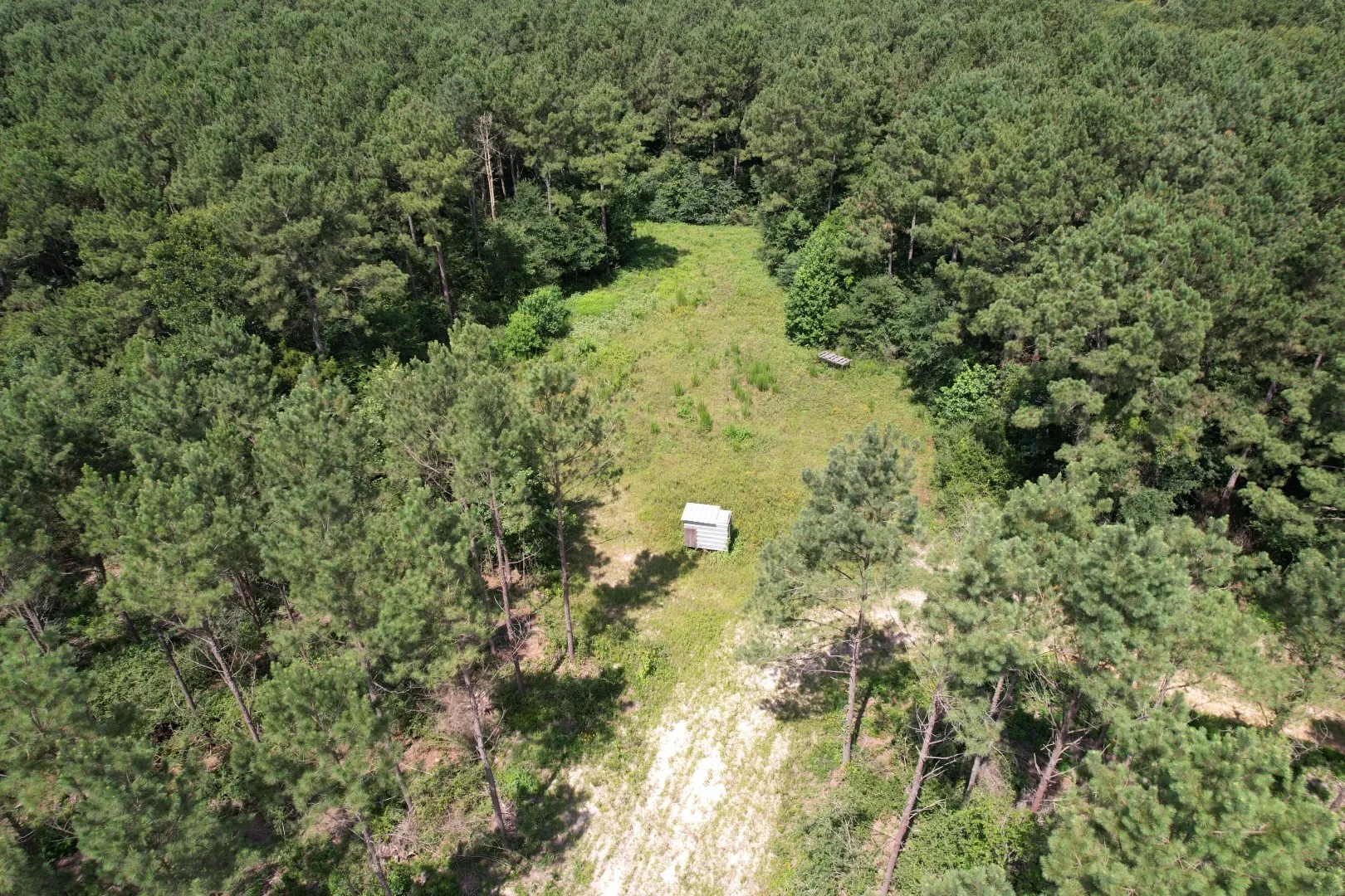 Unimproved Land For Sale in Shelby County , TBD County Road 3706, Tenaha, Texas 75974, 0, 0, Garage spaces, 0 Sqft, built in 0, Price $367,500, mls#20989642, Real Estate Agent in Tenaha, Homes For Sale in Shelby county, Homes For Sale in Tenaha, Realtor in Tenaha Texas, Real Estate Brokerage Independent Realty Texas, Luminita Cordes Realtor