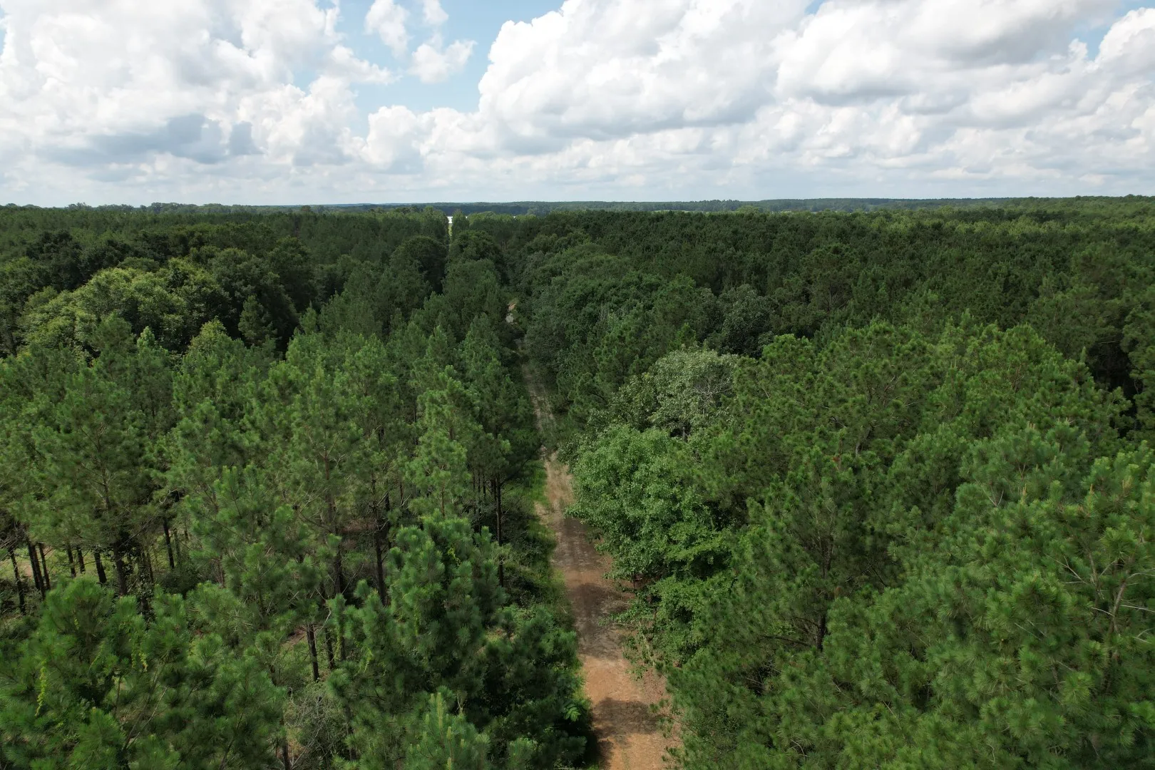 Unimproved Land For Sale in Shelby County , TBD County Road 3706, Tenaha, Texas 75974, 0, 0, Garage spaces, 0 Sqft, built in 0, Price $367,500, mls#20989642, Real Estate Agent in Tenaha, Homes For Sale in Shelby county, Homes For Sale in Tenaha, Realtor in Tenaha Texas, Real Estate Brokerage Independent Realty Texas, Luminita Cordes Realtor