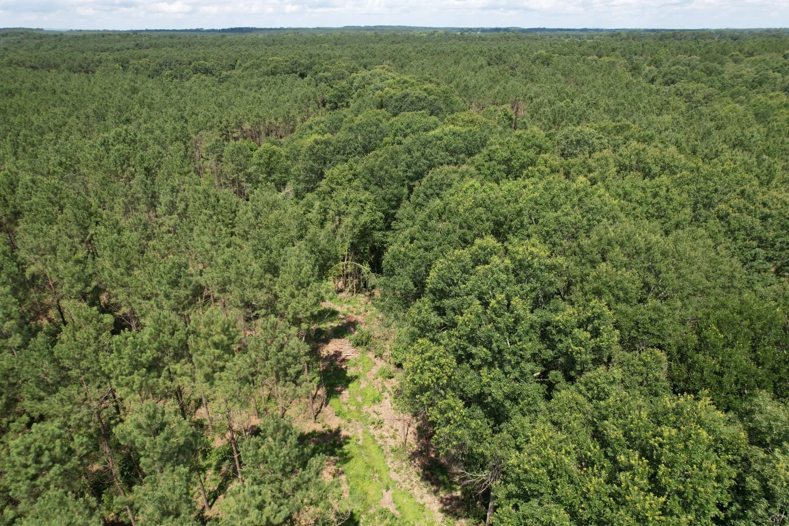 Unimproved Land For Sale in Shelby County , TBD County Road 3706, Tenaha, Texas 75974, 0, 0, Garage spaces, 0 Sqft, built in 0, Price $367,500, mls#20989642, Real Estate Agent in Tenaha, Homes For Sale in Shelby county, Homes For Sale in Tenaha, Realtor in Tenaha Texas, Real Estate Brokerage Independent Realty Texas, Luminita Cordes Realtor