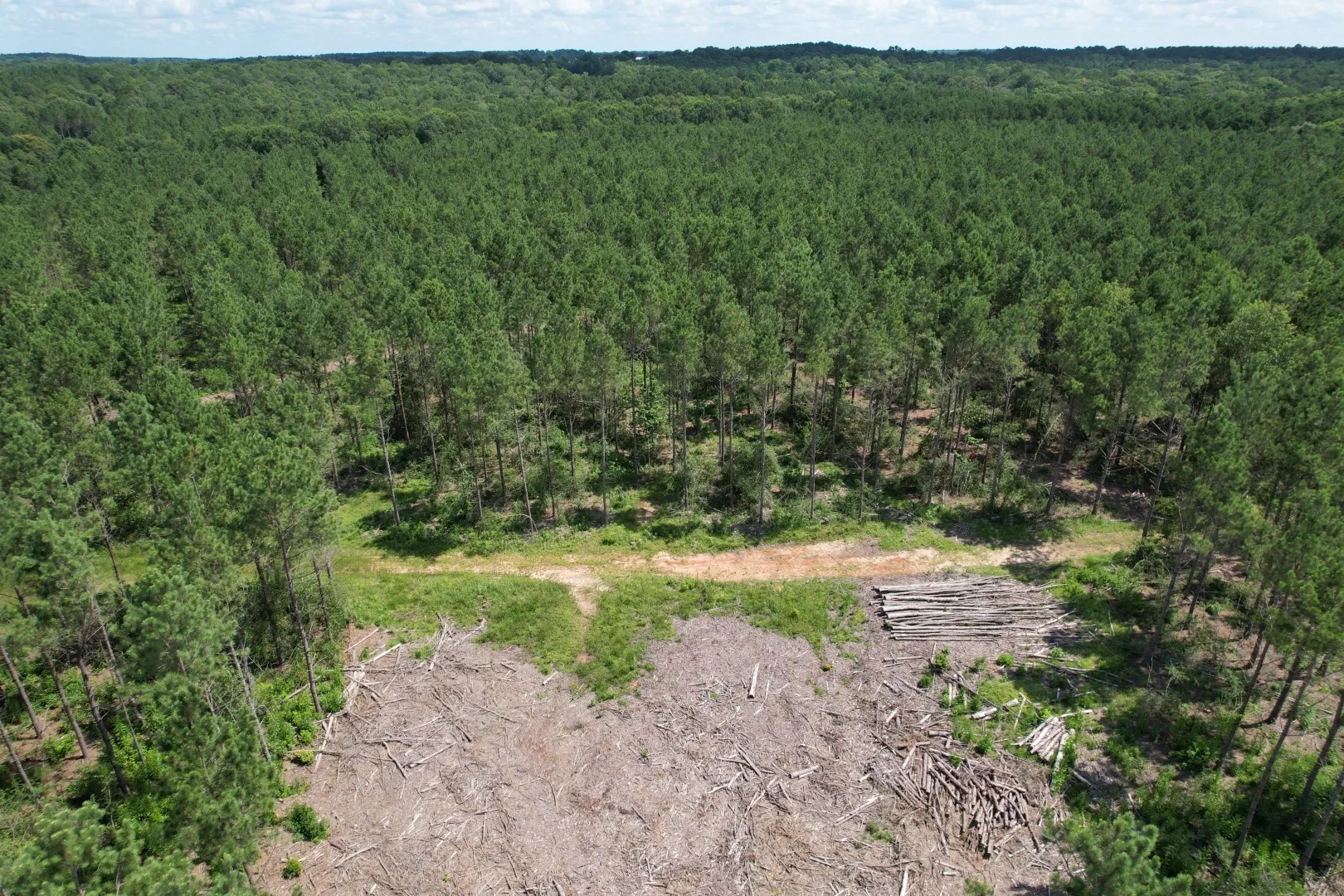 Unimproved Land For Sale in Shelby County , TBD County Road 3706, Tenaha, Texas 75974, 0, 0, Garage spaces, 0 Sqft, built in 0, Price $367,500, mls#20989642, Real Estate Agent in Tenaha, Homes For Sale in Shelby county, Homes For Sale in Tenaha, Realtor in Tenaha Texas, Real Estate Brokerage Independent Realty Texas, Luminita Cordes Realtor