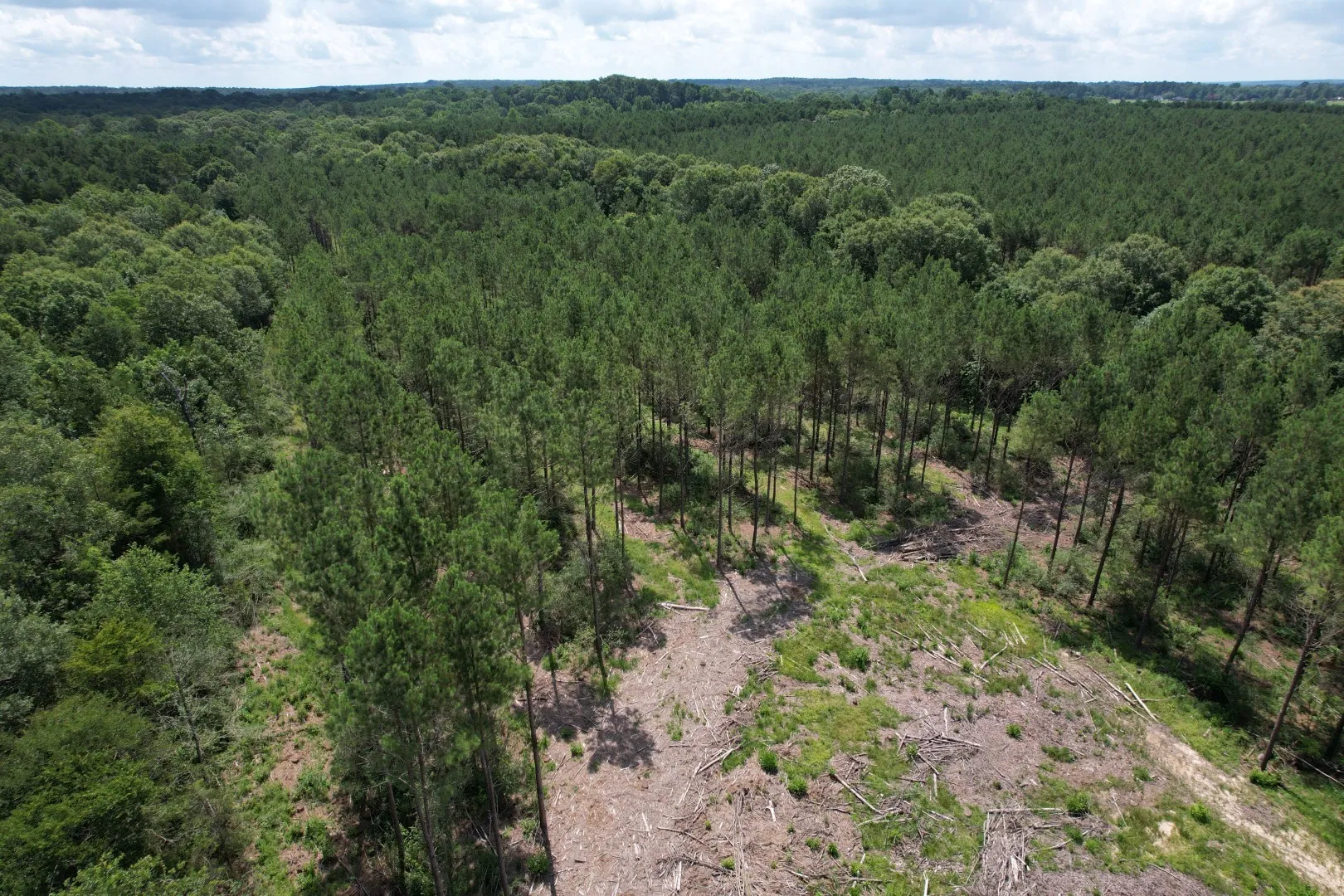 Unimproved Land For Sale in Shelby County , TBD County Road 3706, Tenaha, Texas 75974, 0, 0, Garage spaces, 0 Sqft, built in 0, Price $367,500, mls#20989642, Real Estate Agent in Tenaha, Homes For Sale in Shelby county, Homes For Sale in Tenaha, Realtor in Tenaha Texas, Real Estate Brokerage Independent Realty Texas, Luminita Cordes Realtor