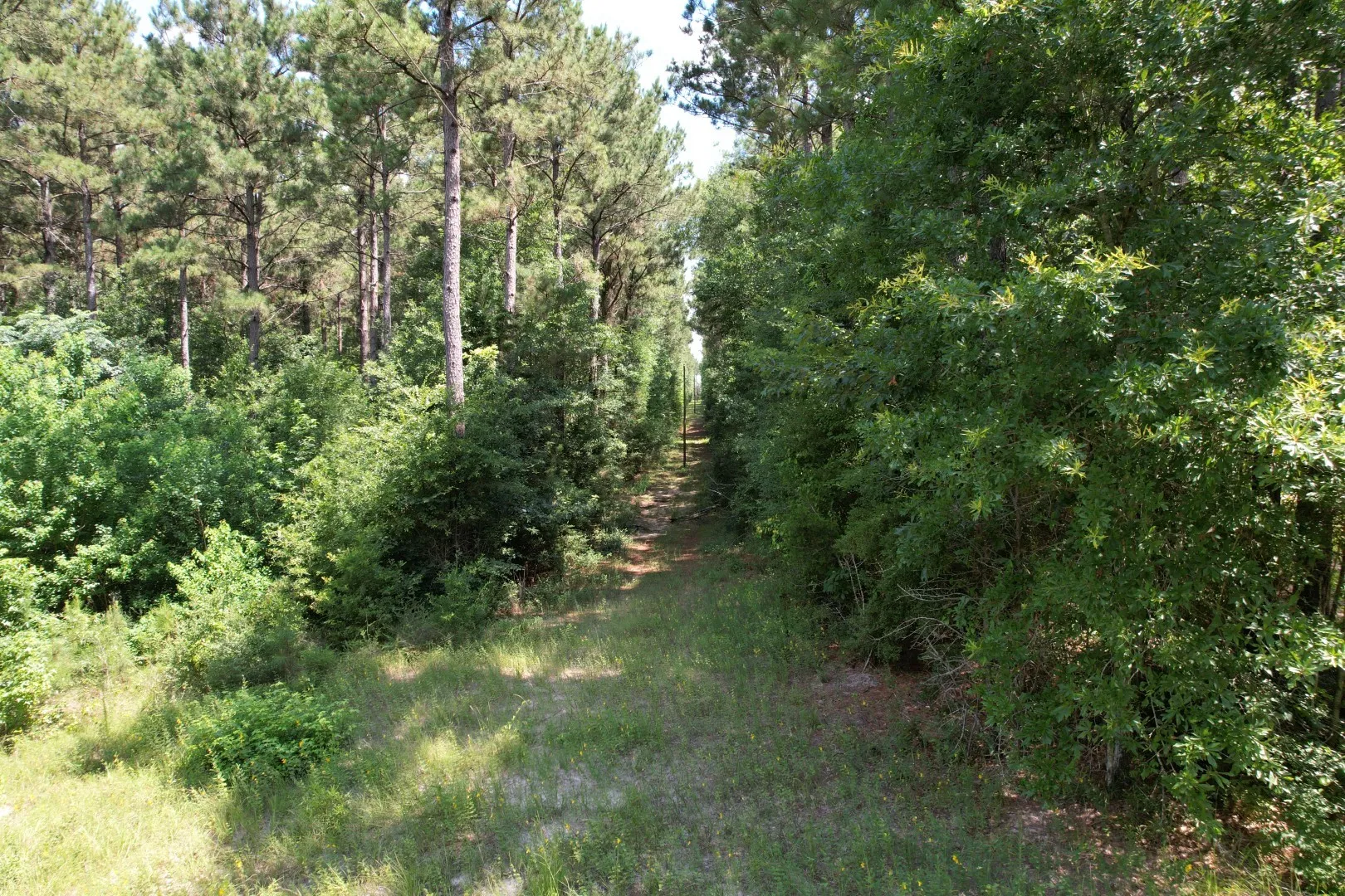 Unimproved Land For Sale in Shelby County , TBD County Road 3706, Tenaha, Texas 75974, 0, 0, Garage spaces, 0 Sqft, built in 0, Price $367,500, mls#20989642, Real Estate Agent in Tenaha, Homes For Sale in Shelby county, Homes For Sale in Tenaha, Realtor in Tenaha Texas, Real Estate Brokerage Independent Realty Texas, Luminita Cordes Realtor