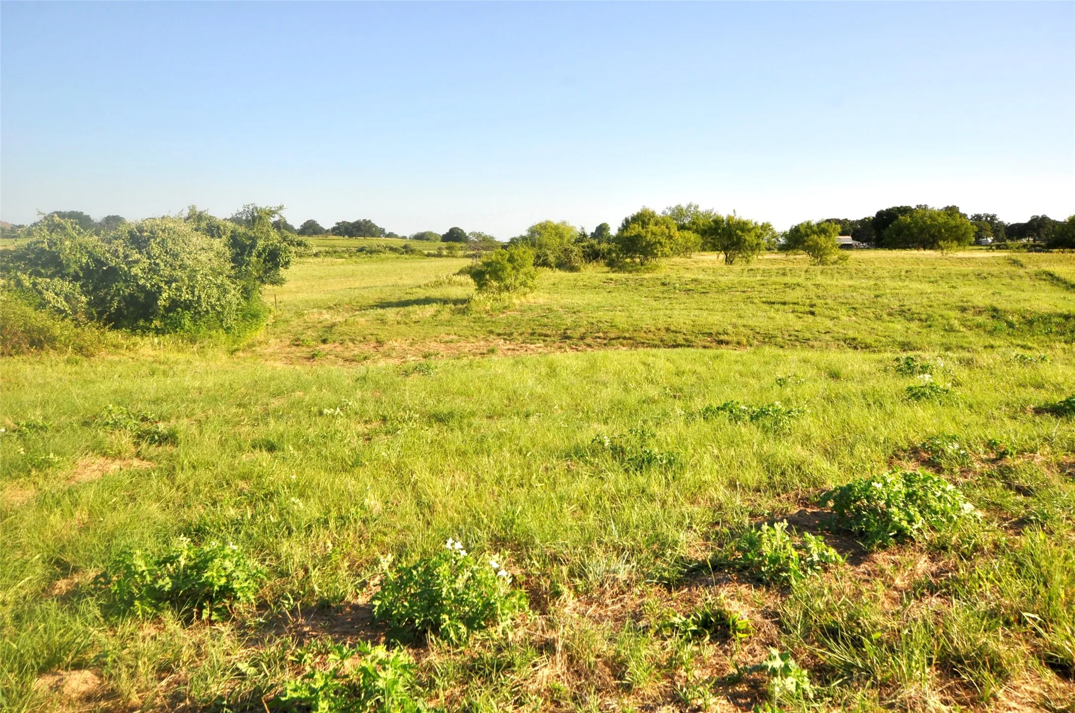 Unimproved Land For Sale in Parker County , TBD Old Brock Road, Weatherford, Texas 76087, 0, 0, Garage spaces, 0 Sqft, built in 0, mls#20988470, Real Estate Agent in Weatherford, Homes For Sale in Parker county, Homes For Sale in Weatherford, Realtor in Weatherford Texas, Real Estate Brokerage Independent Realty Texas, Luminita Cordes Realtor