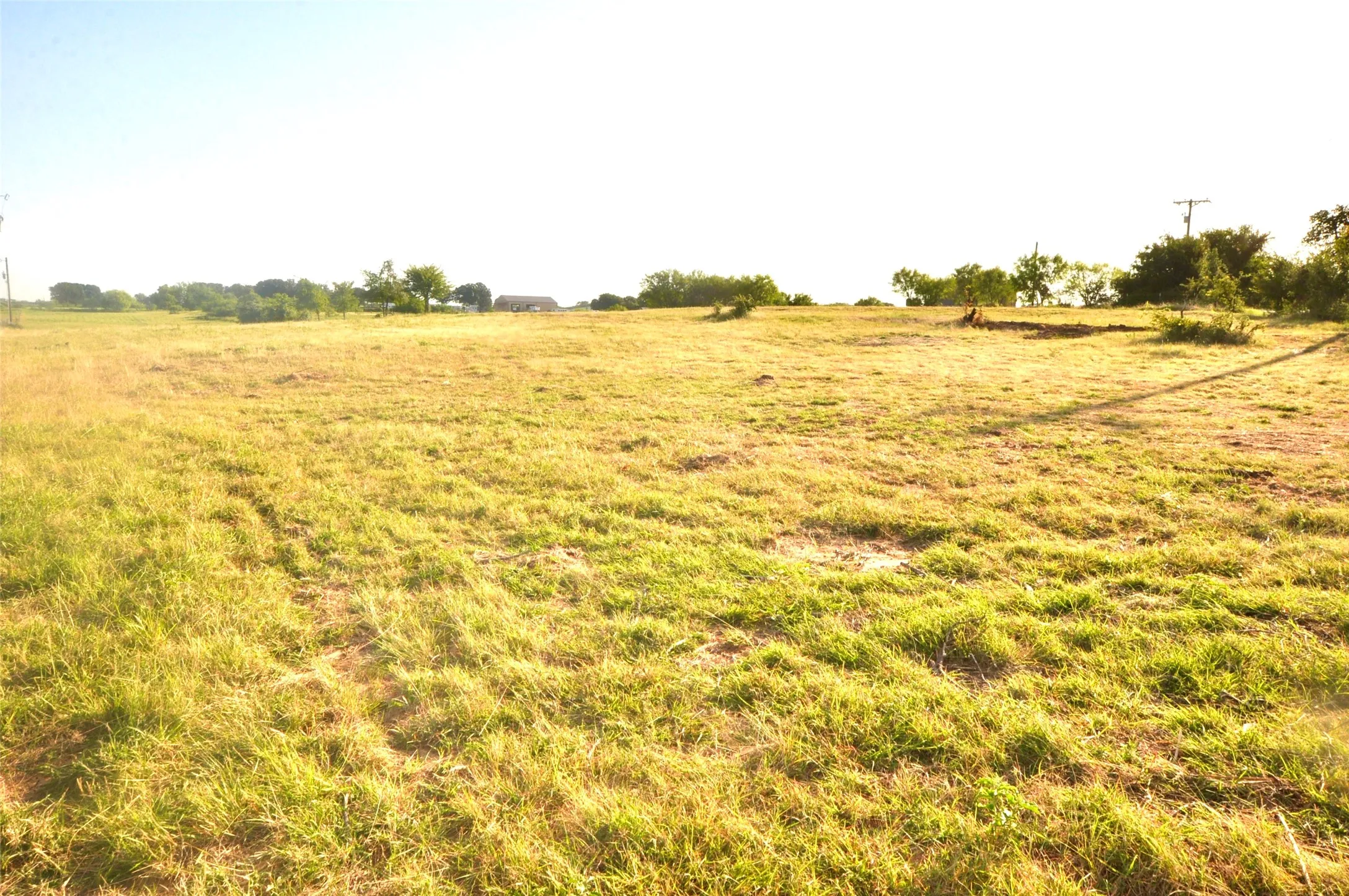 Unimproved Land For Sale in Parker County , TBD Old Brock Road, Weatherford, Texas 76087, 0, 0, Garage spaces, 0 Sqft, built in 0, mls#20988470, Real Estate Agent in Weatherford, Homes For Sale in Parker county, Homes For Sale in Weatherford, Realtor in Weatherford Texas, Real Estate Brokerage Independent Realty Texas, Luminita Cordes Realtor