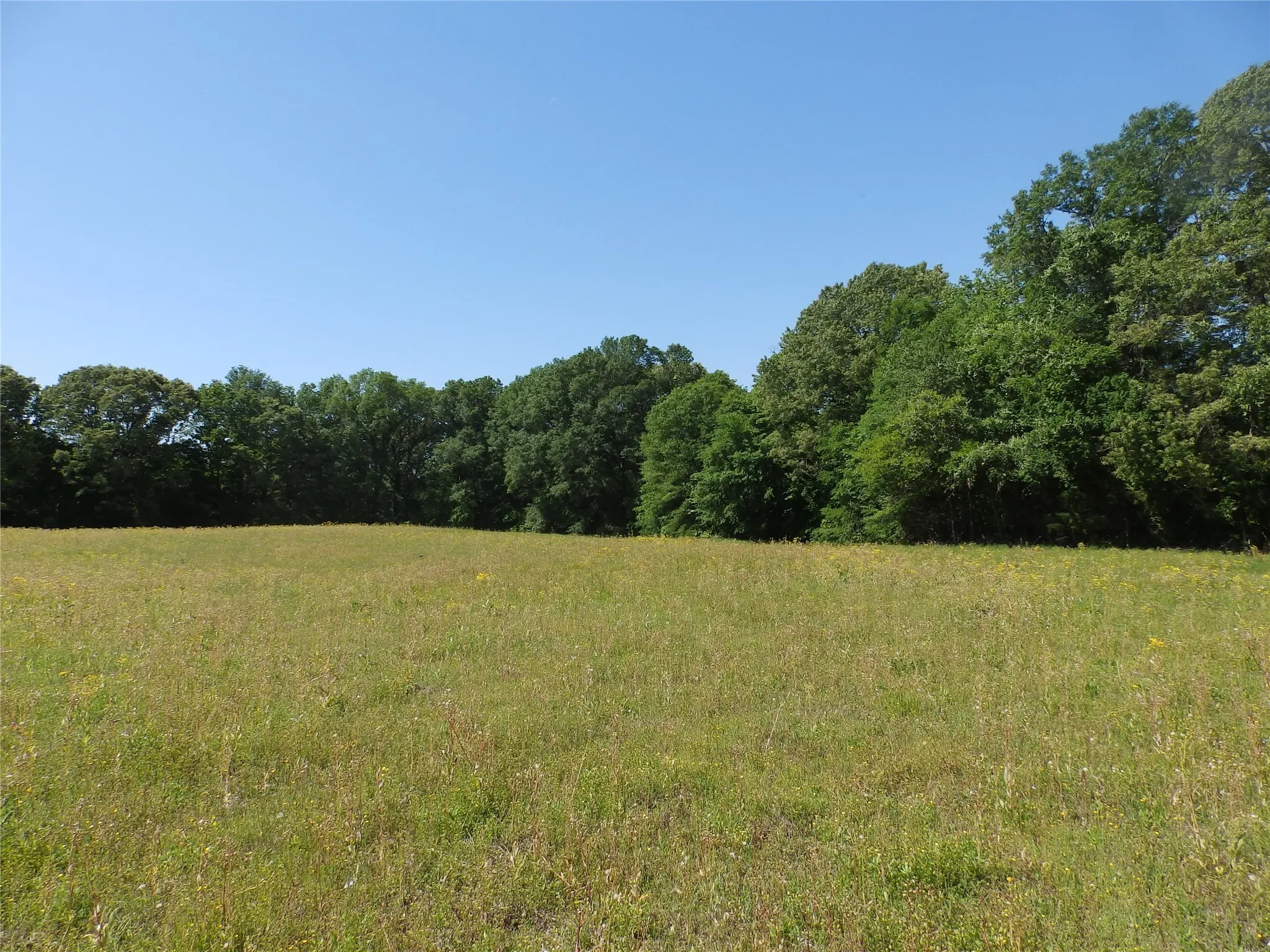 Unimproved Land For Sale in Anderson County , 3168 Hwy 175, Frankston, Texas 75763, 0, 0, Garage spaces, 0 Sqft, built in 0, mls#20991064, Real Estate Agent in Frankston, Homes For Sale in Anderson county, Homes For Sale in Frankston, Realtor in Frankston Texas, Real Estate Brokerage Independent Realty Texas, Luminita Cordes Realtor