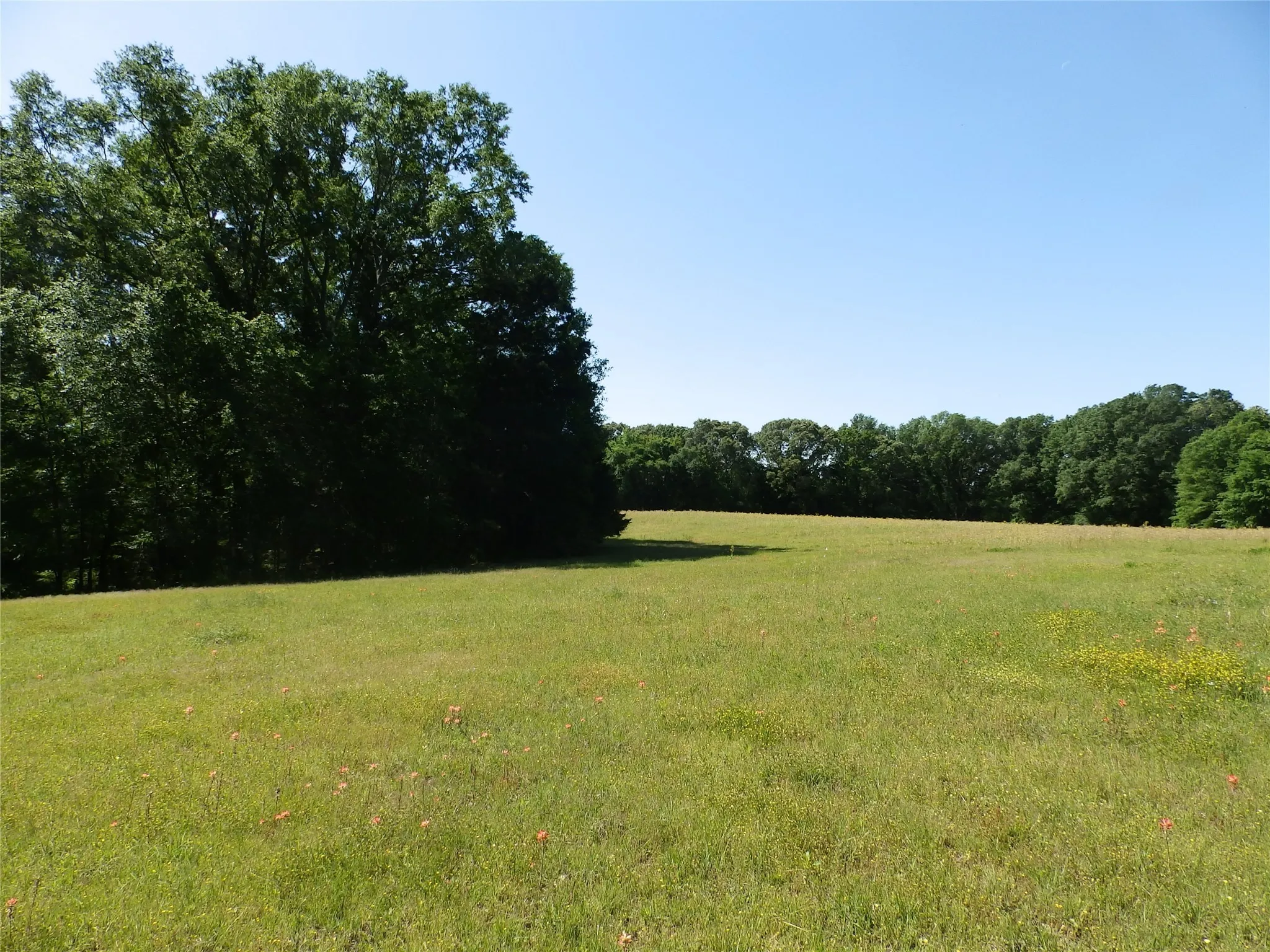 Unimproved Land For Sale in Anderson County , 3168 Hwy 175, Frankston, Texas 75763, 0, 0, Garage spaces, 0 Sqft, built in 0, mls#20991064, Real Estate Agent in Frankston, Homes For Sale in Anderson county, Homes For Sale in Frankston, Realtor in Frankston Texas, Real Estate Brokerage Independent Realty Texas, Luminita Cordes Realtor