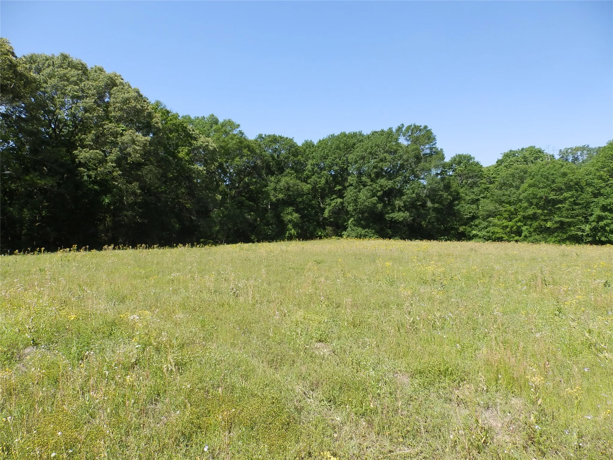 Unimproved Land For Sale in Anderson County , 3168 Hwy 175, Frankston, Texas 75763, 0, 0, Garage spaces, 0 Sqft, built in 0, mls#20991064, Real Estate Agent in Frankston, Homes For Sale in Anderson county, Homes For Sale in Frankston, Realtor in Frankston Texas, Real Estate Brokerage Independent Realty Texas, Luminita Cordes Realtor