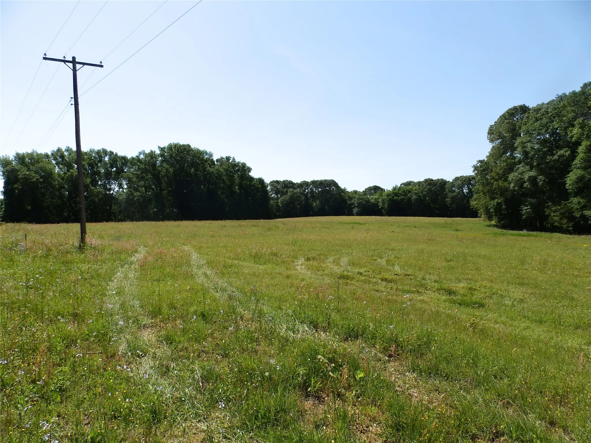 Unimproved Land For Sale in Anderson County , 3168 Hwy 175, Frankston, Texas 75763, 0, 0, Garage spaces, 0 Sqft, built in 0, mls#20991064, Real Estate Agent in Frankston, Homes For Sale in Anderson county, Homes For Sale in Frankston, Realtor in Frankston Texas, Real Estate Brokerage Independent Realty Texas, Luminita Cordes Realtor