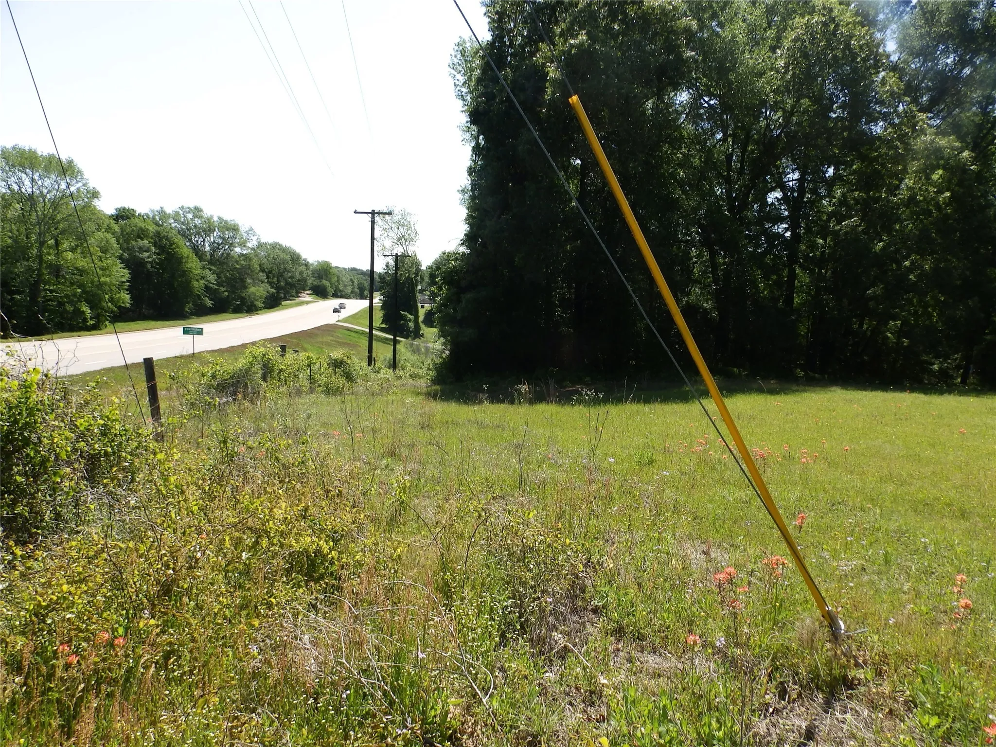 Unimproved Land For Sale in Anderson County , 3168 Hwy 175, Frankston, Texas 75763, 0, 0, Garage spaces, 0 Sqft, built in 0, mls#20991064, Real Estate Agent in Frankston, Homes For Sale in Anderson county, Homes For Sale in Frankston, Realtor in Frankston Texas, Real Estate Brokerage Independent Realty Texas, Luminita Cordes Realtor