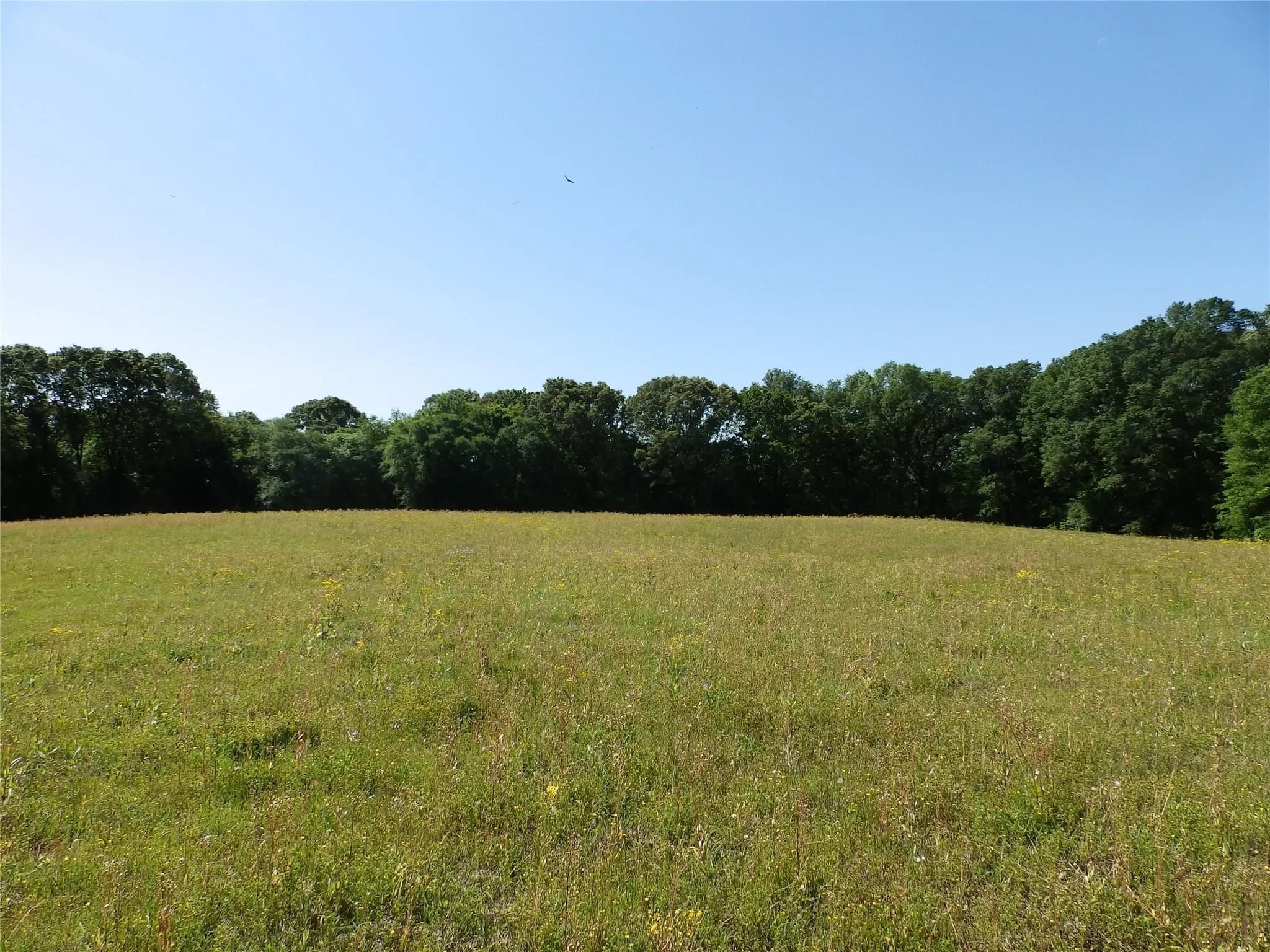 Unimproved Land For Sale in Anderson County , 3168 Hwy 175, Frankston, Texas 75763, 0, 0, Garage spaces, 0 Sqft, built in 0, mls#20991064, Real Estate Agent in Frankston, Homes For Sale in Anderson county, Homes For Sale in Frankston, Realtor in Frankston Texas, Real Estate Brokerage Independent Realty Texas, Luminita Cordes Realtor