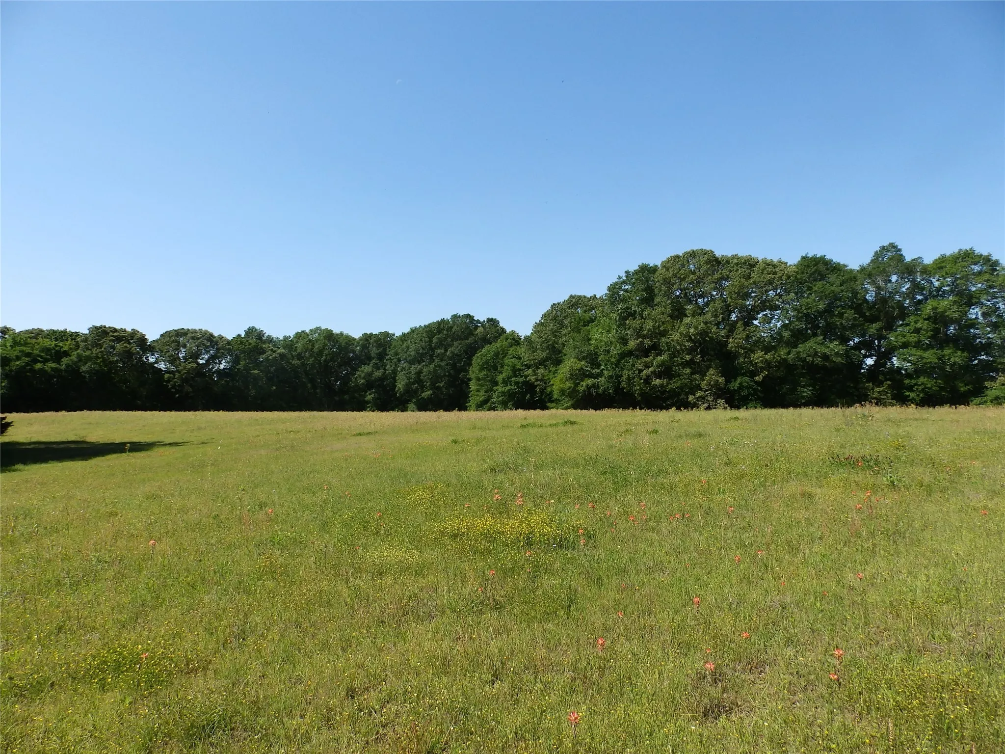 Unimproved Land For Sale in Anderson County , 3168 Hwy 175, Frankston, Texas 75763, 0, 0, Garage spaces, 0 Sqft, built in 0, mls#20991064, Real Estate Agent in Frankston, Homes For Sale in Anderson county, Homes For Sale in Frankston, Realtor in Frankston Texas, Real Estate Brokerage Independent Realty Texas, Luminita Cordes Realtor