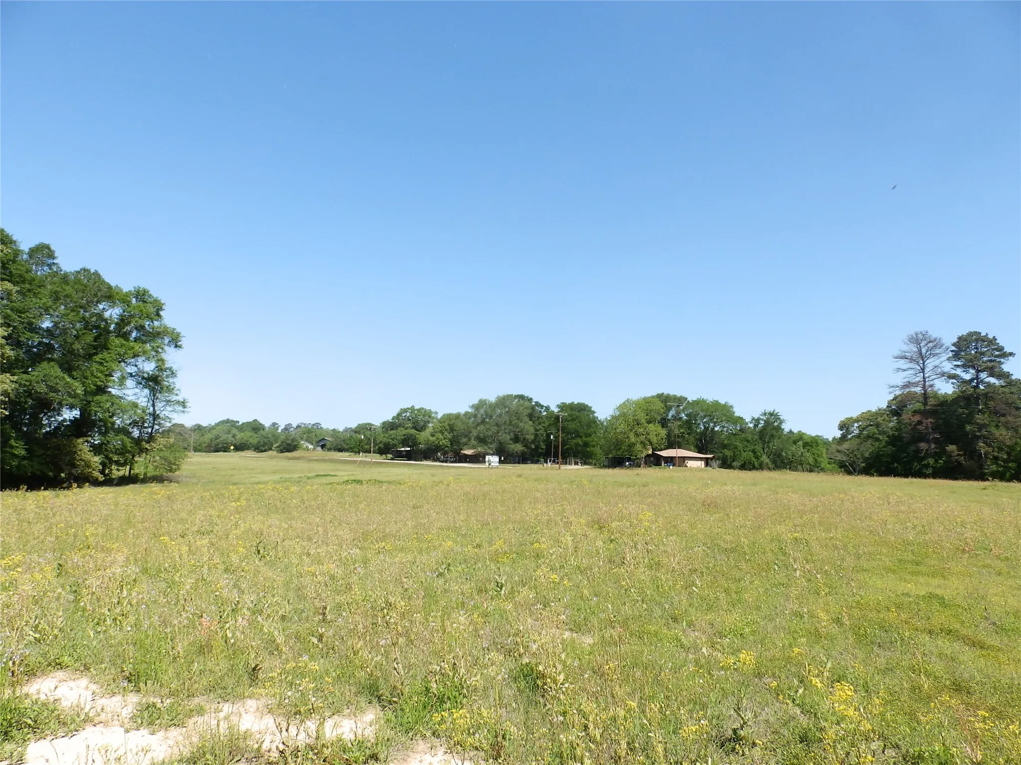 Unimproved Land For Sale in Anderson County , 3168 Hwy 175, Frankston, Texas 75763, 0, 0, Garage spaces, 0 Sqft, built in 0, mls#20991064, Real Estate Agent in Frankston, Homes For Sale in Anderson county, Homes For Sale in Frankston, Realtor in Frankston Texas, Real Estate Brokerage Independent Realty Texas, Luminita Cordes Realtor