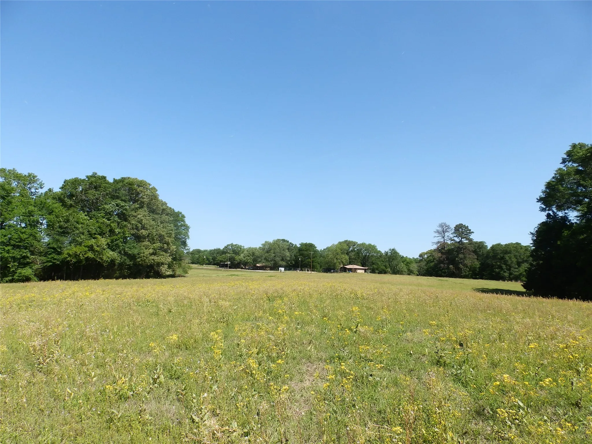 Unimproved Land For Sale in Anderson County , 3168 Hwy 175, Frankston, Texas 75763, 0, 0, Garage spaces, 0 Sqft, built in 0, mls#20991064, Real Estate Agent in Frankston, Homes For Sale in Anderson county, Homes For Sale in Frankston, Realtor in Frankston Texas, Real Estate Brokerage Independent Realty Texas, Luminita Cordes Realtor
