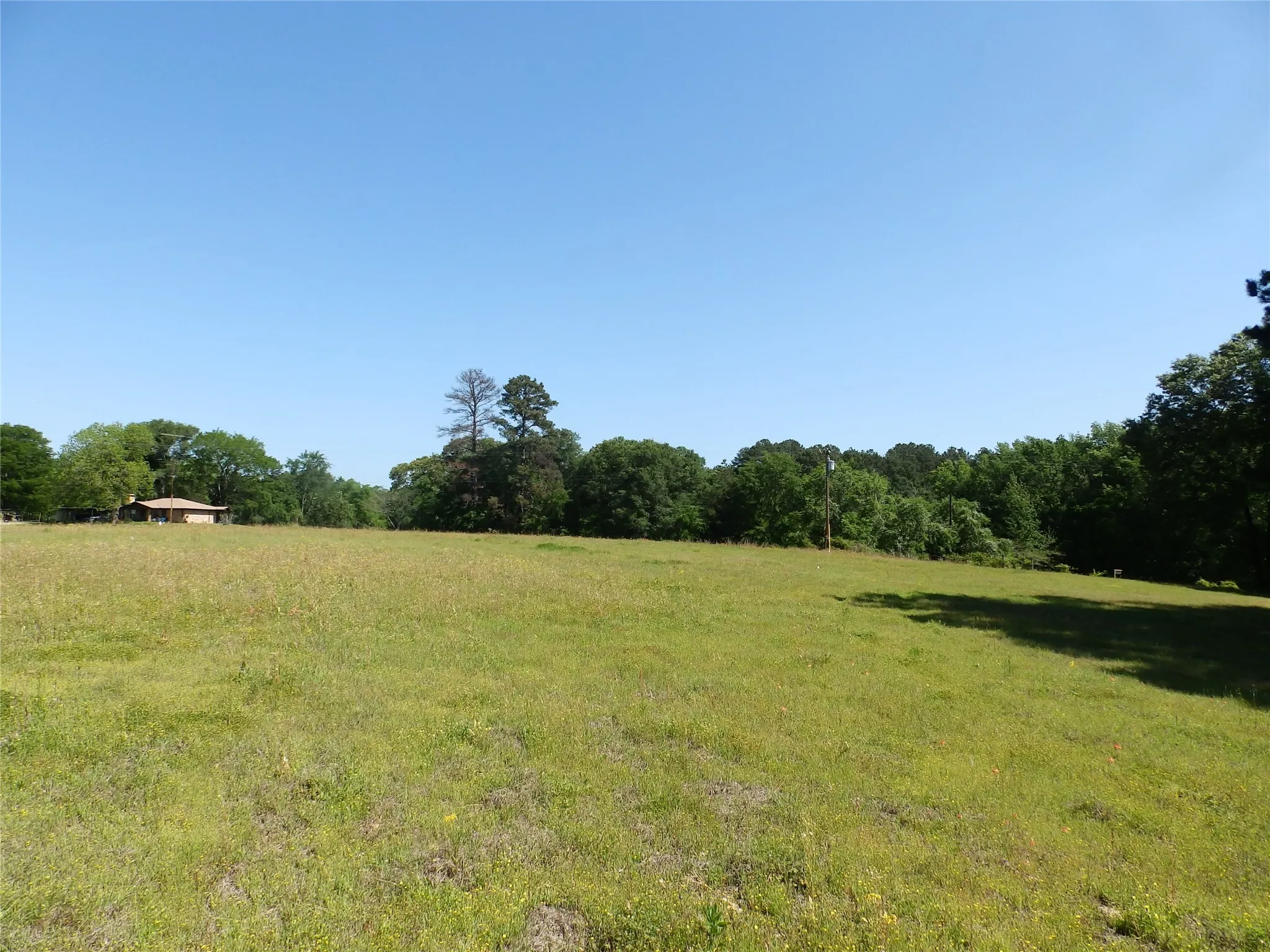 Unimproved Land For Sale in Anderson County , 3168 Hwy 175, Frankston, Texas 75763, 0, 0, Garage spaces, 0 Sqft, built in 0, mls#20991064, Real Estate Agent in Frankston, Homes For Sale in Anderson county, Homes For Sale in Frankston, Realtor in Frankston Texas, Real Estate Brokerage Independent Realty Texas, Luminita Cordes Realtor
