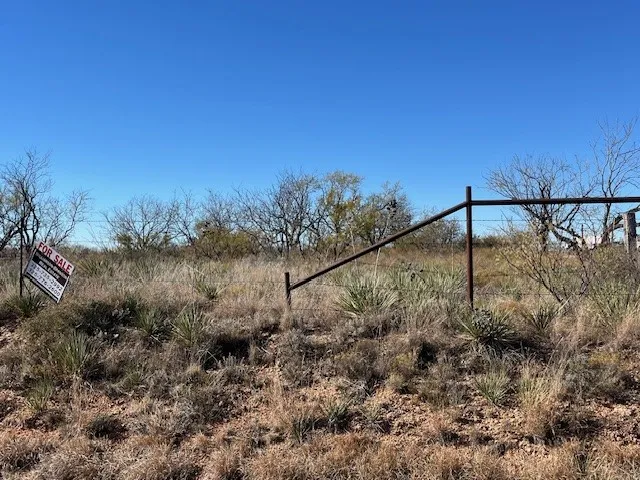 front fence on CR 405