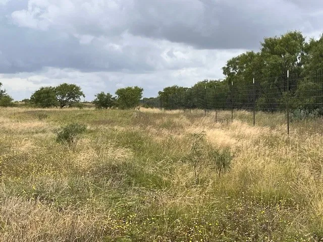 back fence on the west side