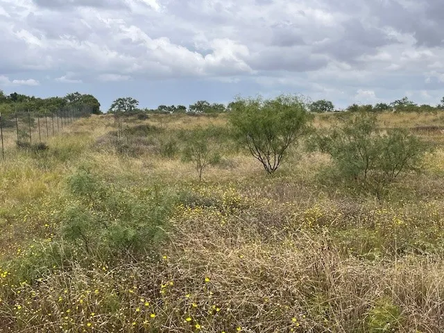 Unimproved Land For Sale in Taylor County , TBD1 County Road 405, Merkel, Texas 79536, 0, 0, Garage spaces, 0 Sqft, built in 0, Price $120,900, mls#20992566, Real Estate Agent in Merkel, Homes For Sale in Taylor county, Homes For Sale in Merkel, Realtor in Merkel Texas, Real Estate Brokerage Independent Realty Texas, Luminita Cordes Realtor