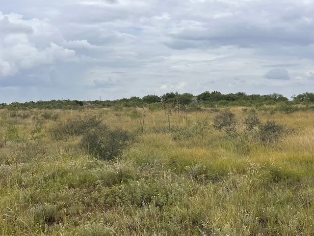 Unimproved Land For Sale in Taylor County , TBD1 County Road 405, Merkel, Texas 79536, 0, 0, Garage spaces, 0 Sqft, built in 0, Price $120,900, mls#20992566, Real Estate Agent in Merkel, Homes For Sale in Taylor county, Homes For Sale in Merkel, Realtor in Merkel Texas, Real Estate Brokerage Independent Realty Texas, Luminita Cordes Realtor