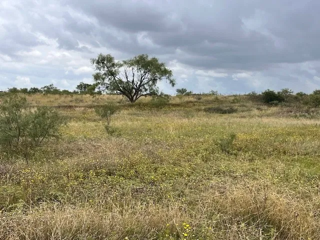 Unimproved Land For Sale in Taylor County , TBD1 County Road 405, Merkel, Texas 79536, 0, 0, Garage spaces, 0 Sqft, built in 0, Price $120,900, mls#20992566, Real Estate Agent in Merkel, Homes For Sale in Taylor county, Homes For Sale in Merkel, Realtor in Merkel Texas, Real Estate Brokerage Independent Realty Texas, Luminita Cordes Realtor