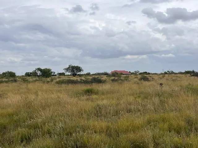 Unimproved Land For Sale in Taylor County , TBD1 County Road 405, Merkel, Texas 79536, 0, 0, Garage spaces, 0 Sqft, built in 0, Price $120,900, mls#20992566, Real Estate Agent in Merkel, Homes For Sale in Taylor county, Homes For Sale in Merkel, Realtor in Merkel Texas, Real Estate Brokerage Independent Realty Texas, Luminita Cordes Realtor