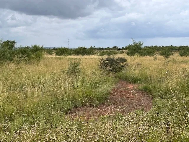 Unimproved Land For Sale in Taylor County , TBD1 County Road 405, Merkel, Texas 79536, 0, 0, Garage spaces, 0 Sqft, built in 0, Price $120,900, mls#20992566, Real Estate Agent in Merkel, Homes For Sale in Taylor county, Homes For Sale in Merkel, Realtor in Merkel Texas, Real Estate Brokerage Independent Realty Texas, Luminita Cordes Realtor