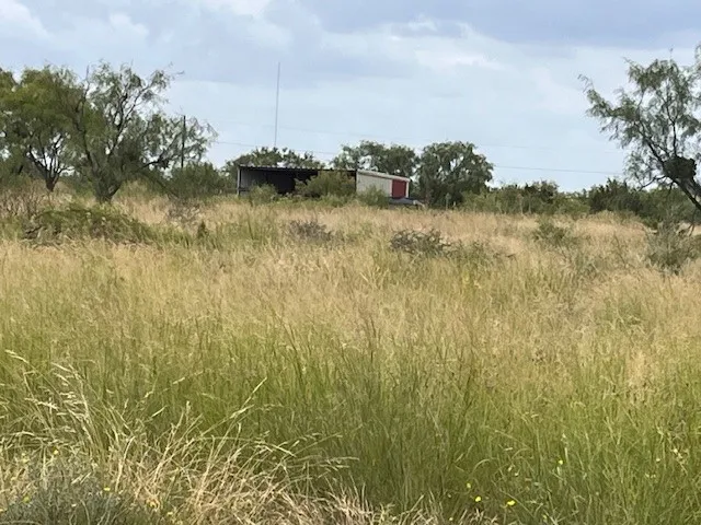 Unimproved Land For Sale in Taylor County , TBD1 County Road 405, Merkel, Texas 79536, 0, 0, Garage spaces, 0 Sqft, built in 0, Price $120,900, mls#20992566, Real Estate Agent in Merkel, Homes For Sale in Taylor county, Homes For Sale in Merkel, Realtor in Merkel Texas, Real Estate Brokerage Independent Realty Texas, Luminita Cordes Realtor