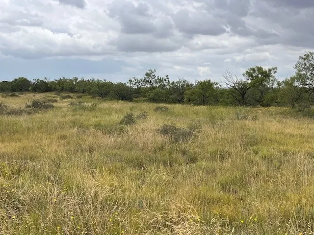 Unimproved Land For Sale in Taylor County , TBD1 County Road 405, Merkel, Texas 79536, 0, 0, Garage spaces, 0 Sqft, built in 0, Price $120,900, mls#20992566, Real Estate Agent in Merkel, Homes For Sale in Taylor county, Homes For Sale in Merkel, Realtor in Merkel Texas, Real Estate Brokerage Independent Realty Texas, Luminita Cordes Realtor