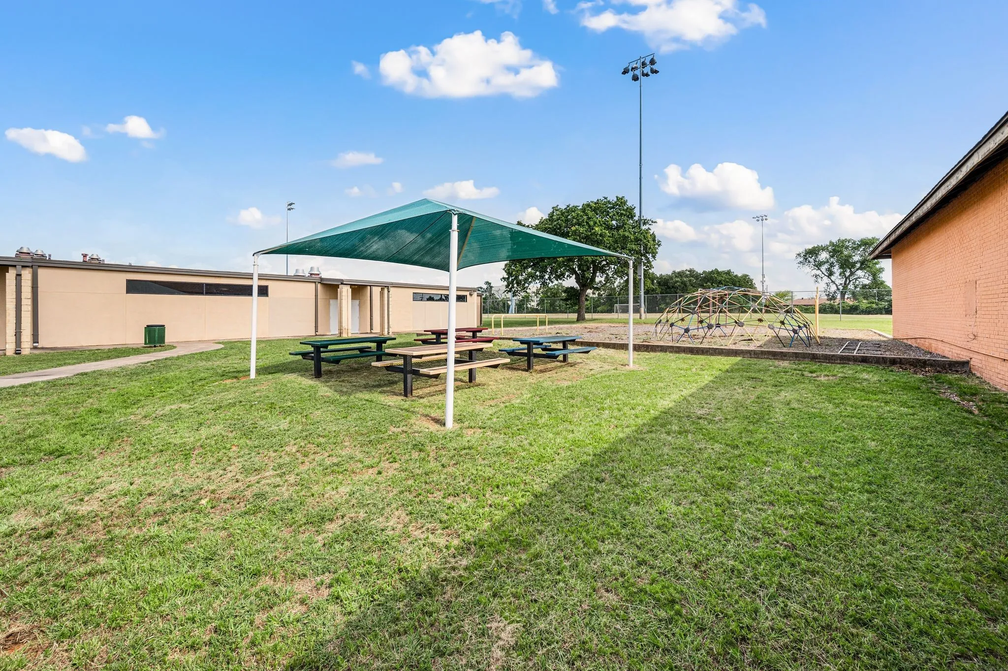 View of grassy yard