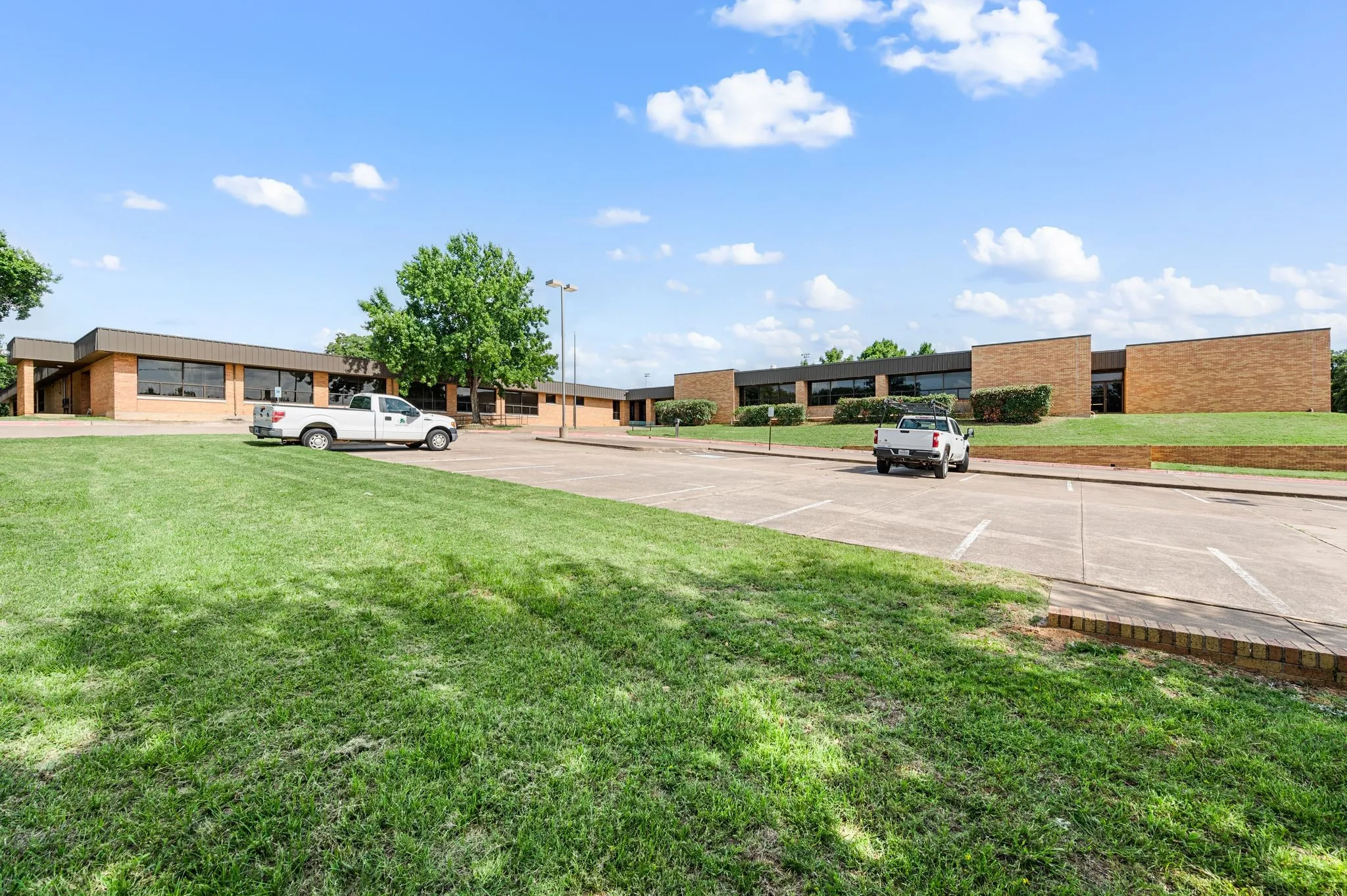 View of grassy yard