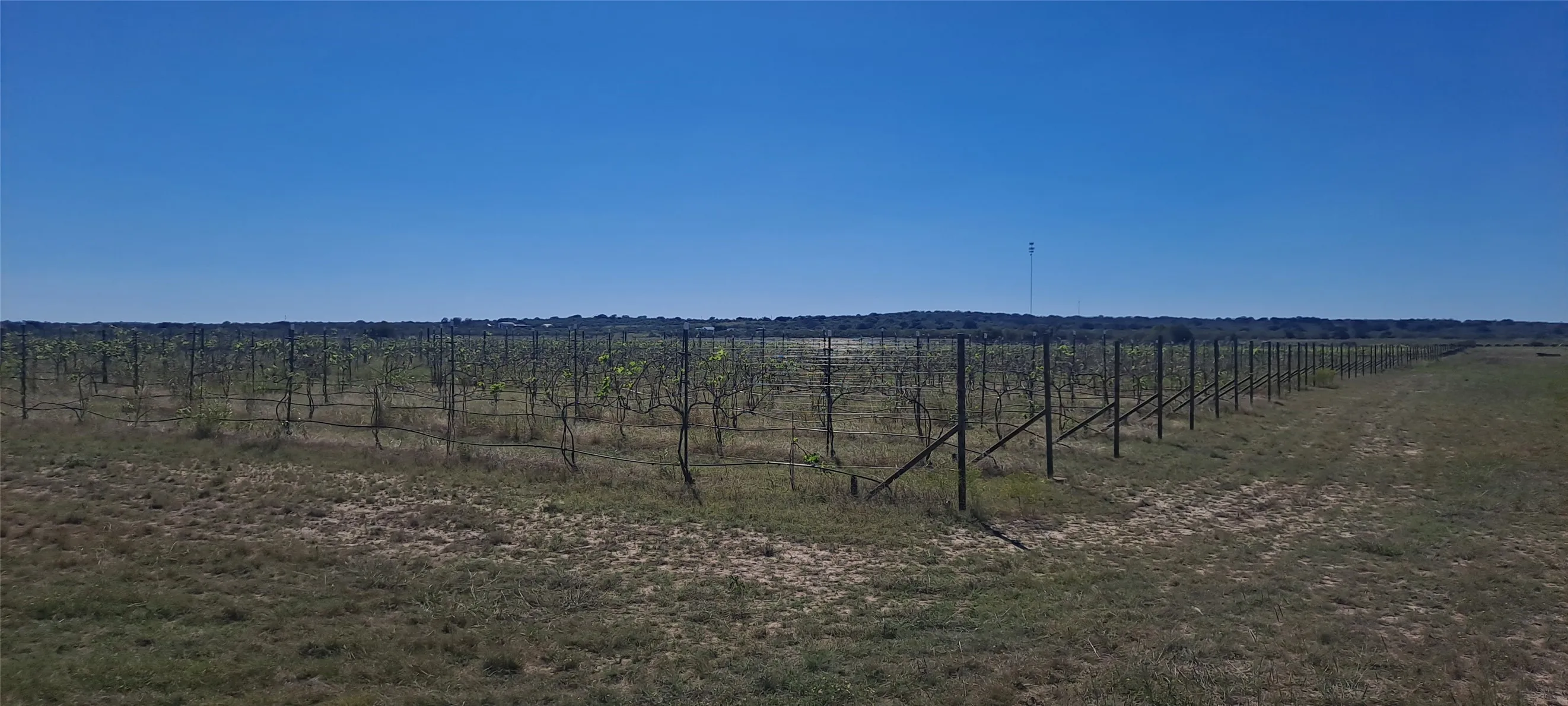 Improved Land For Sale in San Saba County , 809 Coyote Trail Lot 1, Richland Springs, Texas 76871, 0, 0, Garage spaces, 0 Sqft, built in 0, Price $397,900, mls#20993477, Real Estate Agent in Richland Springs, Homes For Sale in San Saba county, Homes For Sale in Richland Springs, Realtor in Richland Springs Texas, Real Estate Brokerage Independent Realty Texas, Luminita Cordes Realtor