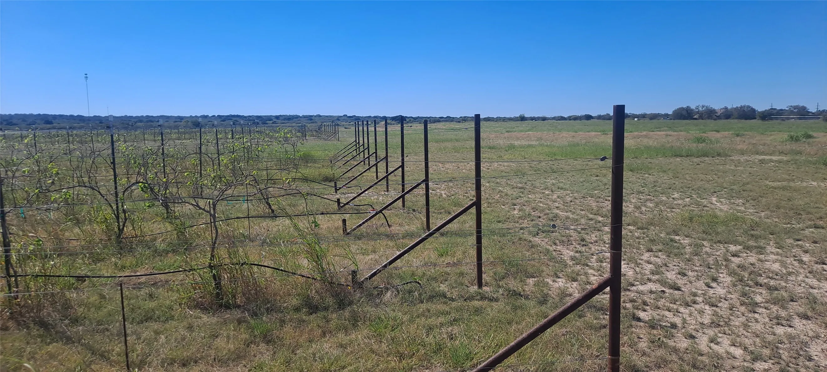 View of yard with a rural view
