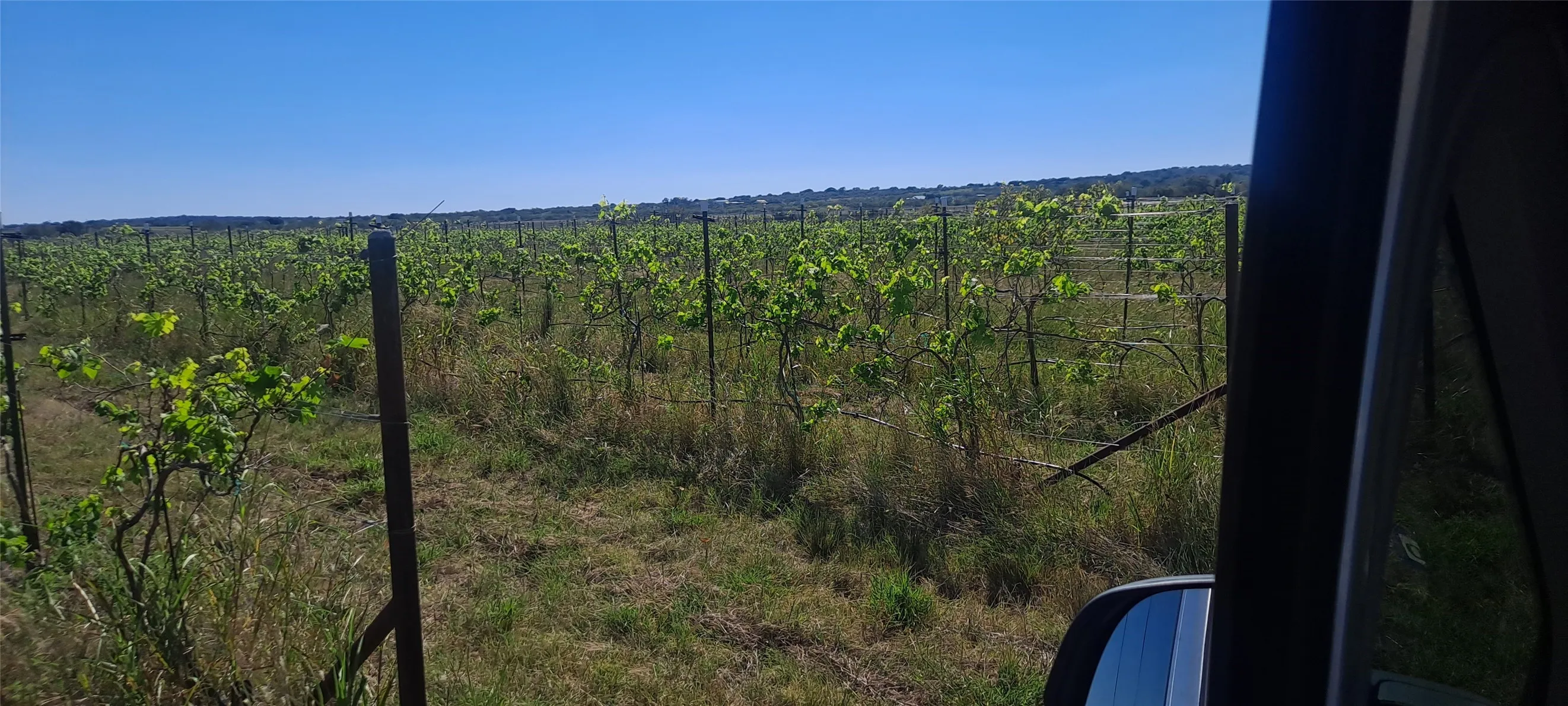 Improved Land For Sale in San Saba County , 809 Coyote Trail Lot 1, Richland Springs, Texas 76871, 0, 0, Garage spaces, 0 Sqft, built in 0, Price $397,900, mls#20993477, Real Estate Agent in Richland Springs, Homes For Sale in San Saba county, Homes For Sale in Richland Springs, Realtor in Richland Springs Texas, Real Estate Brokerage Independent Realty Texas, Luminita Cordes Realtor