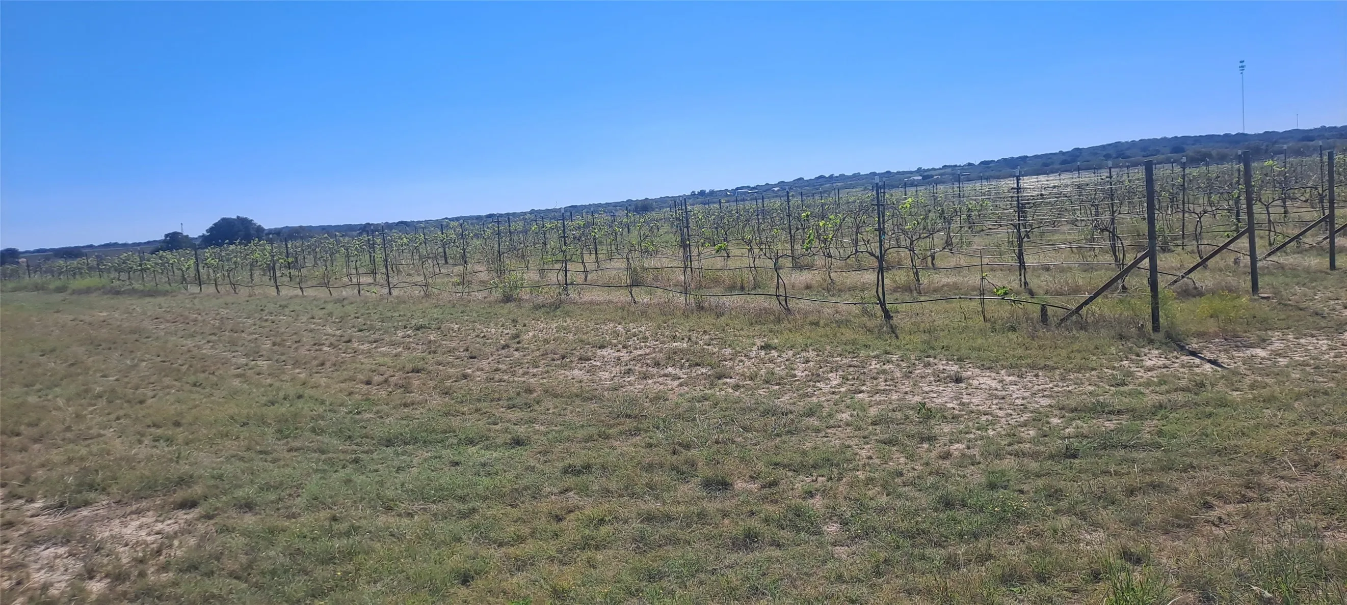 Improved Land For Sale in San Saba County , 809 Coyote Trail Lot 1, Richland Springs, Texas 76871, 0, 0, Garage spaces, 0 Sqft, built in 0, Price $397,900, mls#20993477, Real Estate Agent in Richland Springs, Homes For Sale in San Saba county, Homes For Sale in Richland Springs, Realtor in Richland Springs Texas, Real Estate Brokerage Independent Realty Texas, Luminita Cordes Realtor