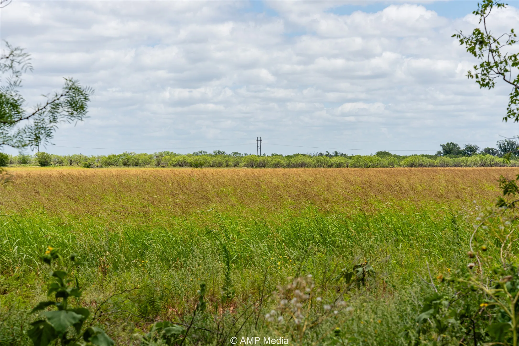 View of nature with rural landscape