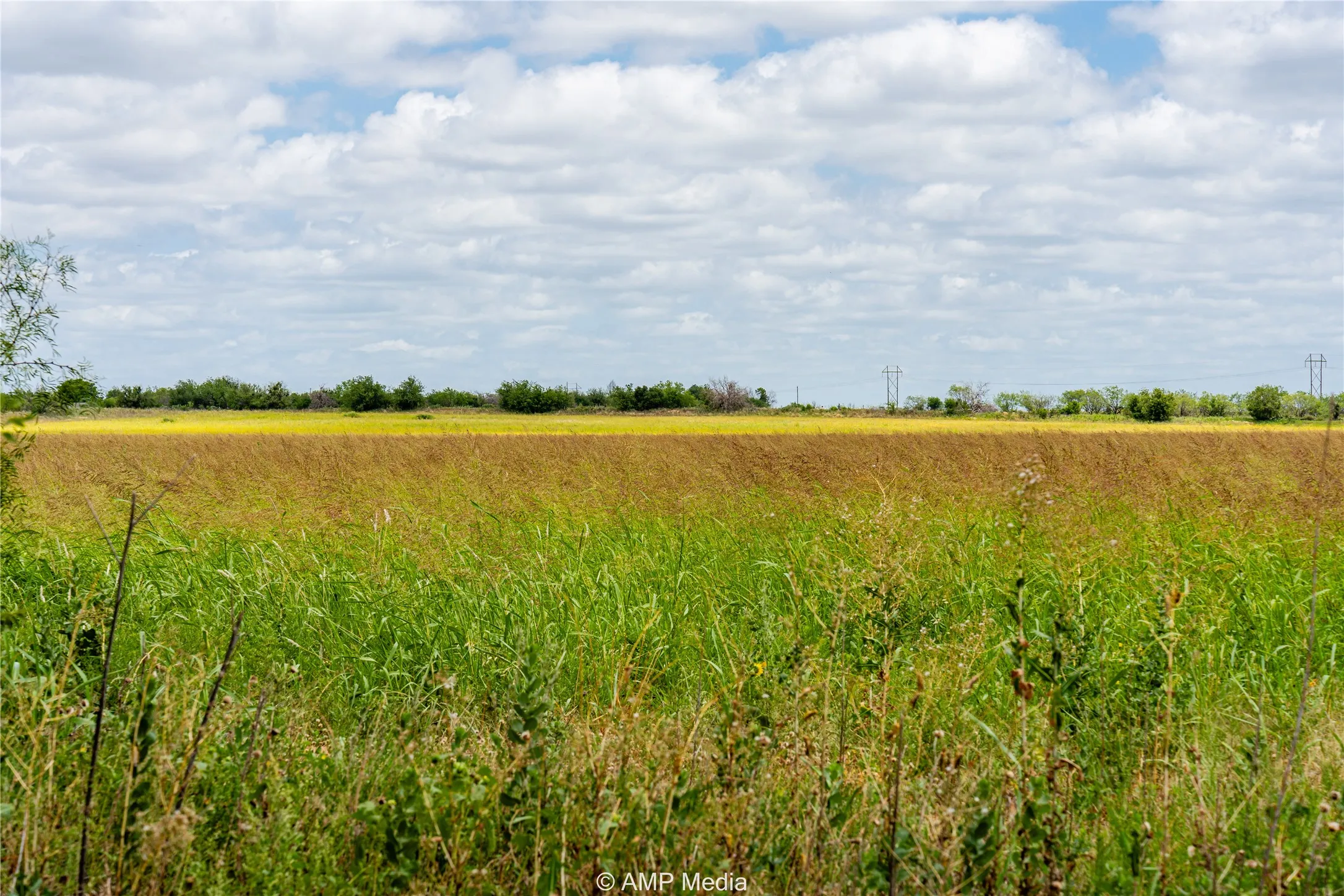 View of undeveloped land with rural landscape