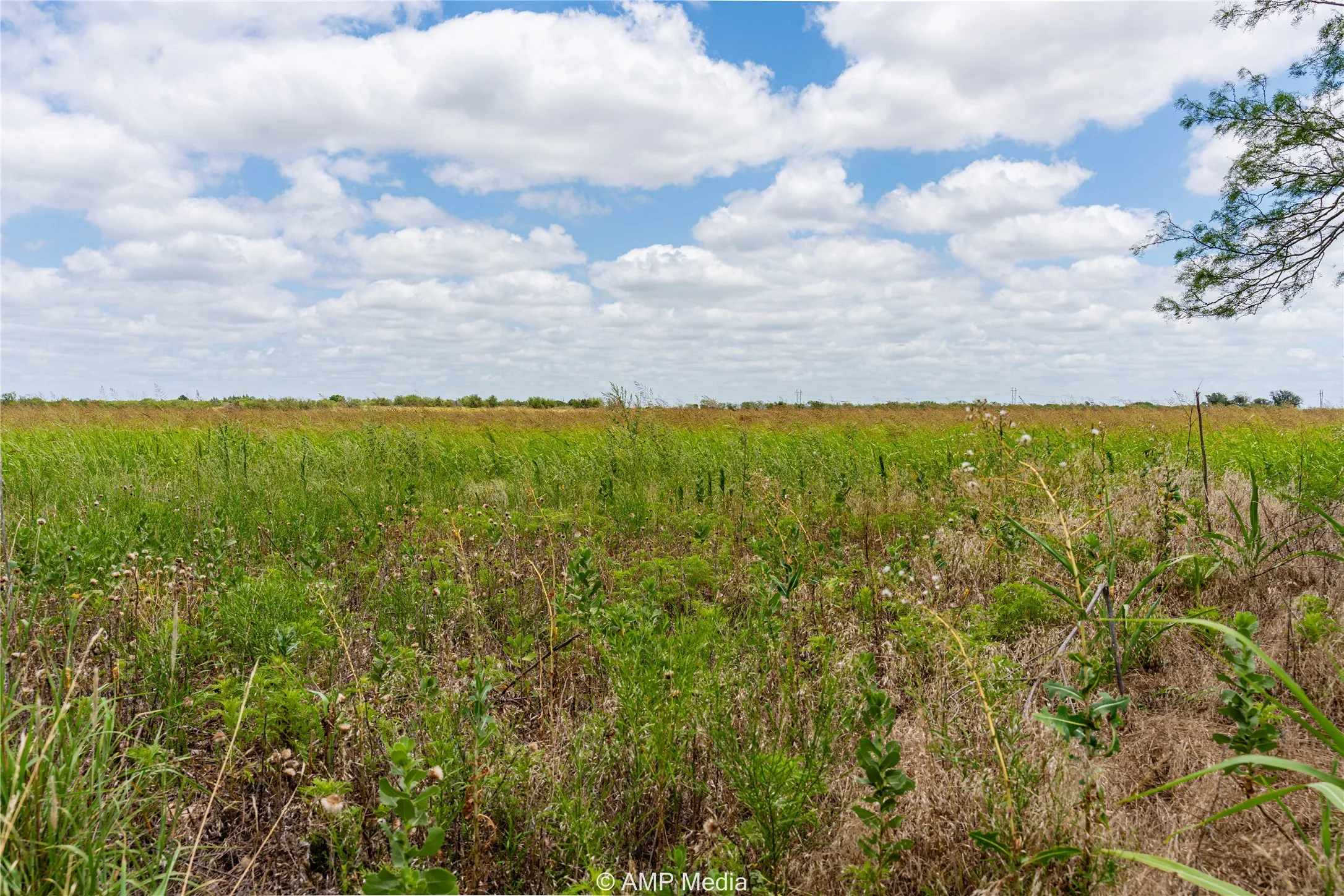 View of undeveloped land featuring rural landscape