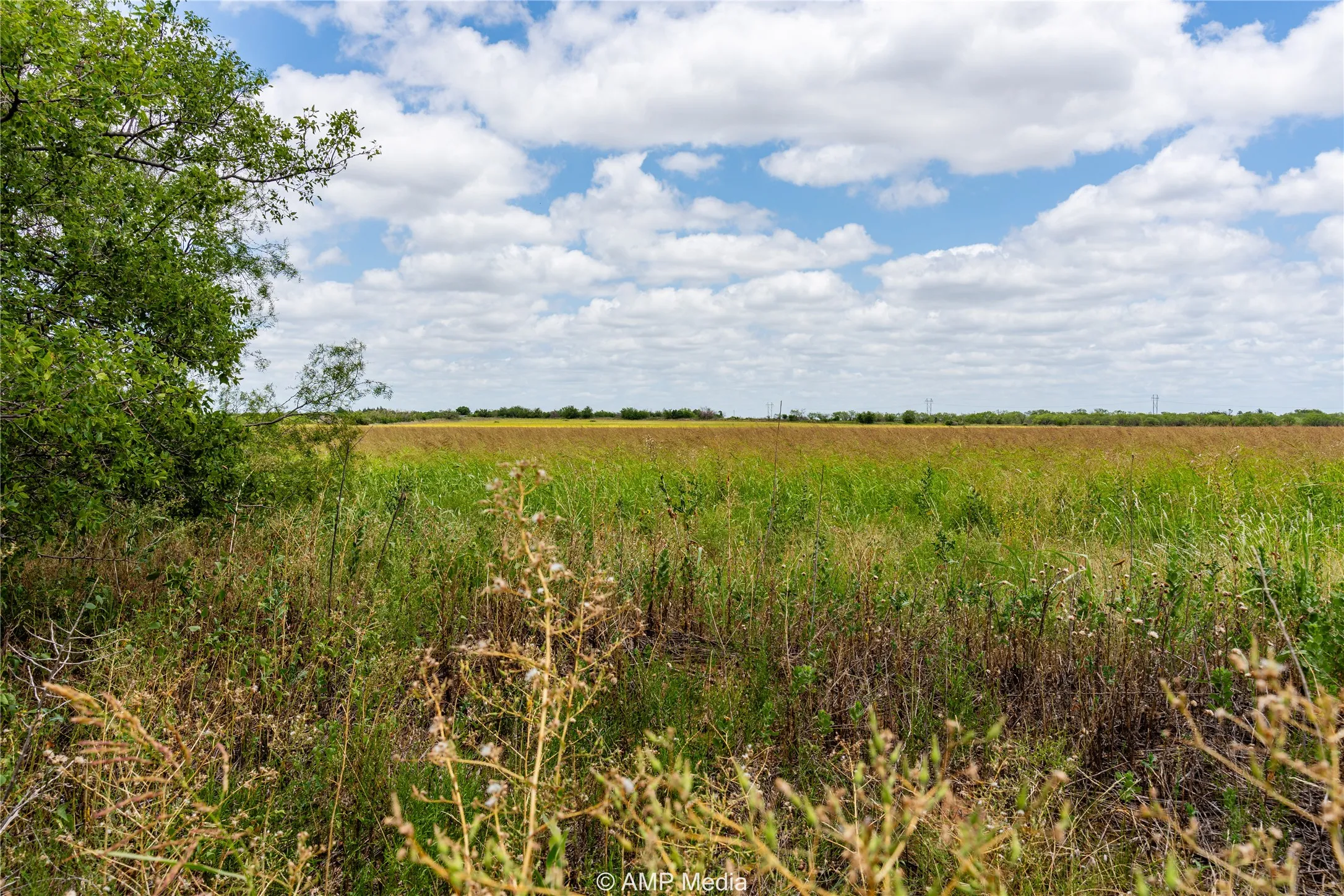Unimproved Land For Sale in Jones County , tbd Private Lane, Hawley, Texas 79525, 0, 0, Garage spaces, 0 Sqft, built in 0, mls#20993527, Real Estate Agent in Hawley, Homes For Sale in Jones county, Homes For Sale in Hawley, Realtor in Hawley Texas, Real Estate Brokerage Independent Realty Texas, Luminita Cordes Realtor
